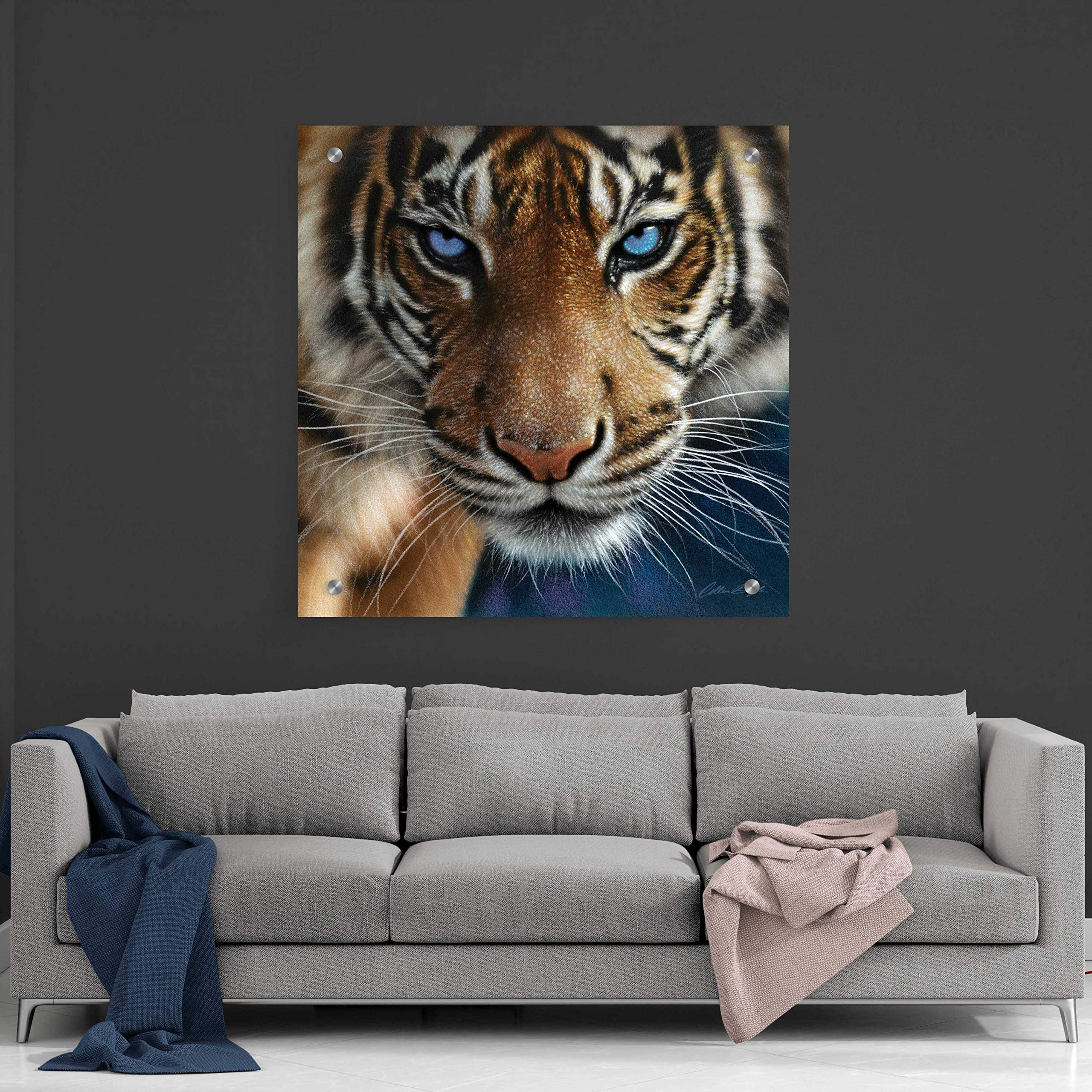 Epic Art 'Blue Eyes' by Collin Bogle - 36x36 Inch Acrylic Glass Wall Decor for Living Room, Bedroom & Office - Modern Abstract Painting for Home & Office Decor