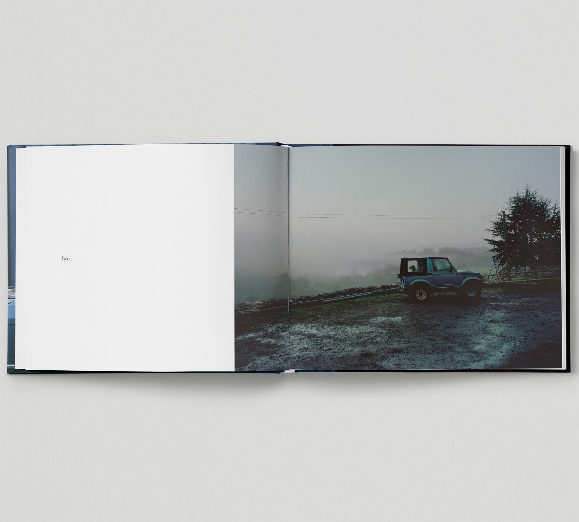The Silence of Dogs in Cars - Thought-Provoking Photography Book for Dog Lovers, Perfect for Coffee Table Decor and Gift Ideas