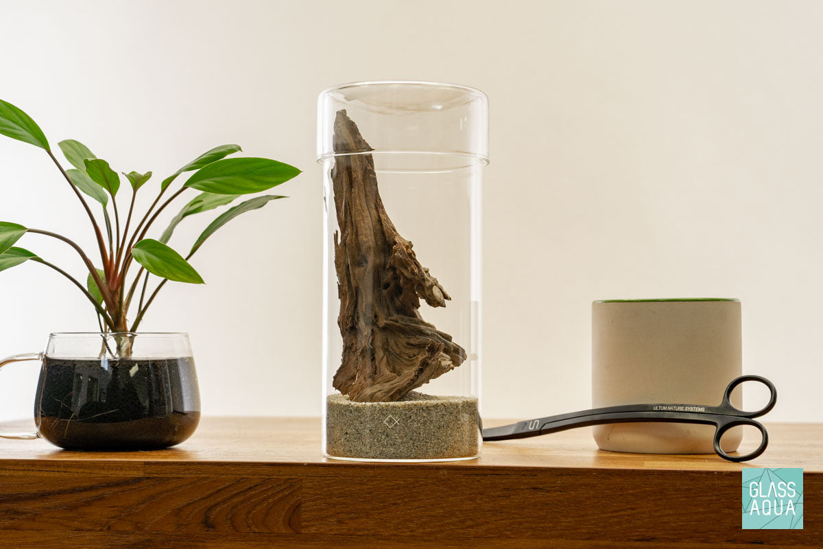 DIY Miniature Terrarium Kit - Complete Glass Garden Set with Plants & Decor for Home Office Desk Decor | Creative Indoor Gardening Gift for Plant Lovers | Perfect for Zen Decor, Stress Relief & Home Decoration