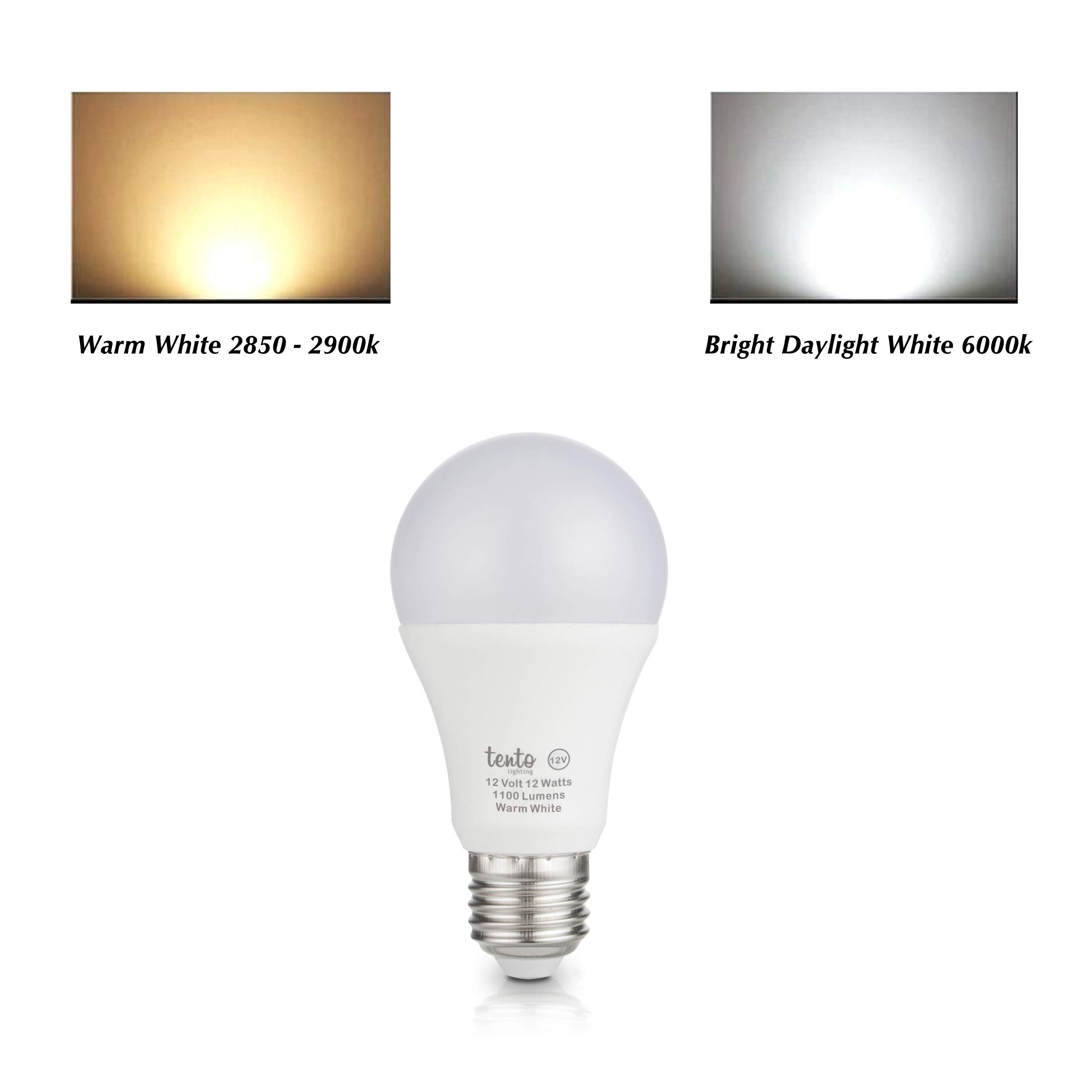 12V E26 LED Bulb - 12W 1200 Lumens Energy Efficient RV & Off-Grid Lighting for Campers, Trailers, and Tiny Homes