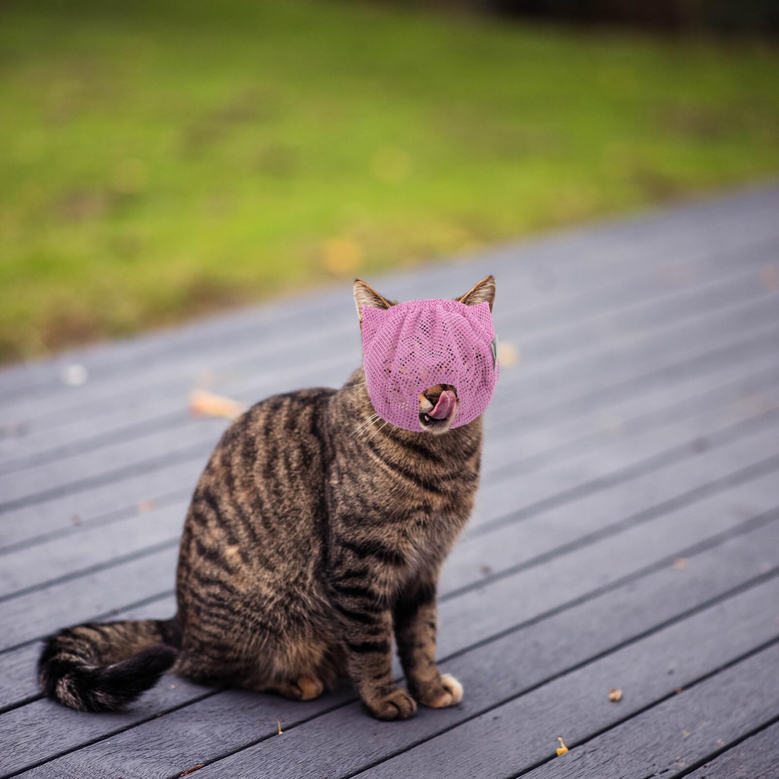 Balacoo Cat Muzzle - Breathable Pet Grooming Muzzle & Recovery Collar for Kittens, Soft Polyester Mesh Shower Net Bag - Prevents Licking & Chewing - Perfect for Vet Visits, Bathing, and Post-Surgery Care