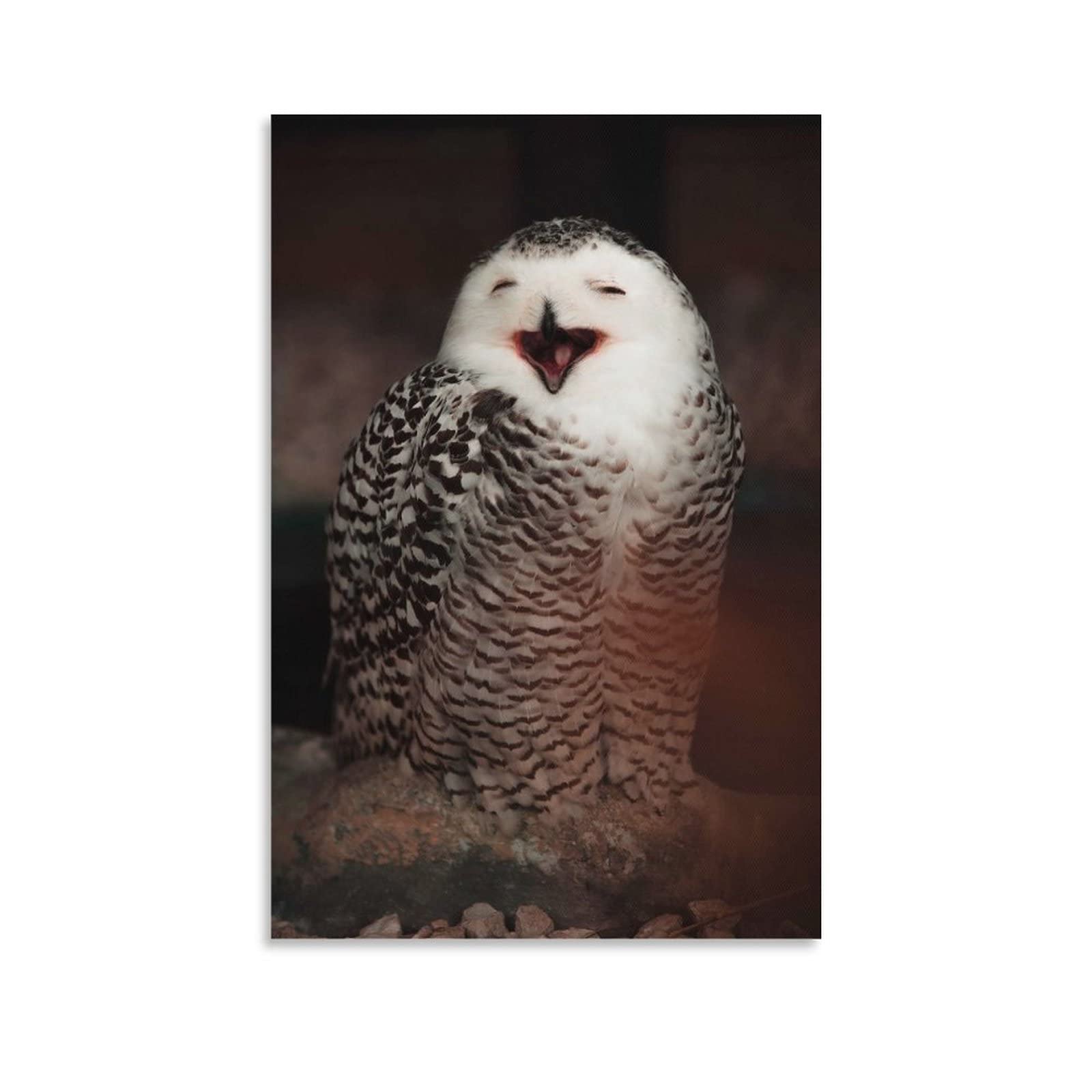 Snowy Owl Close-Up Photography Fantasy Art Print - 12x18 Inch (30x45cm) Bird Wildlife Wall Decor for Living Room & Bedroom - Perfect for Nature Lovers & Home Office Decor