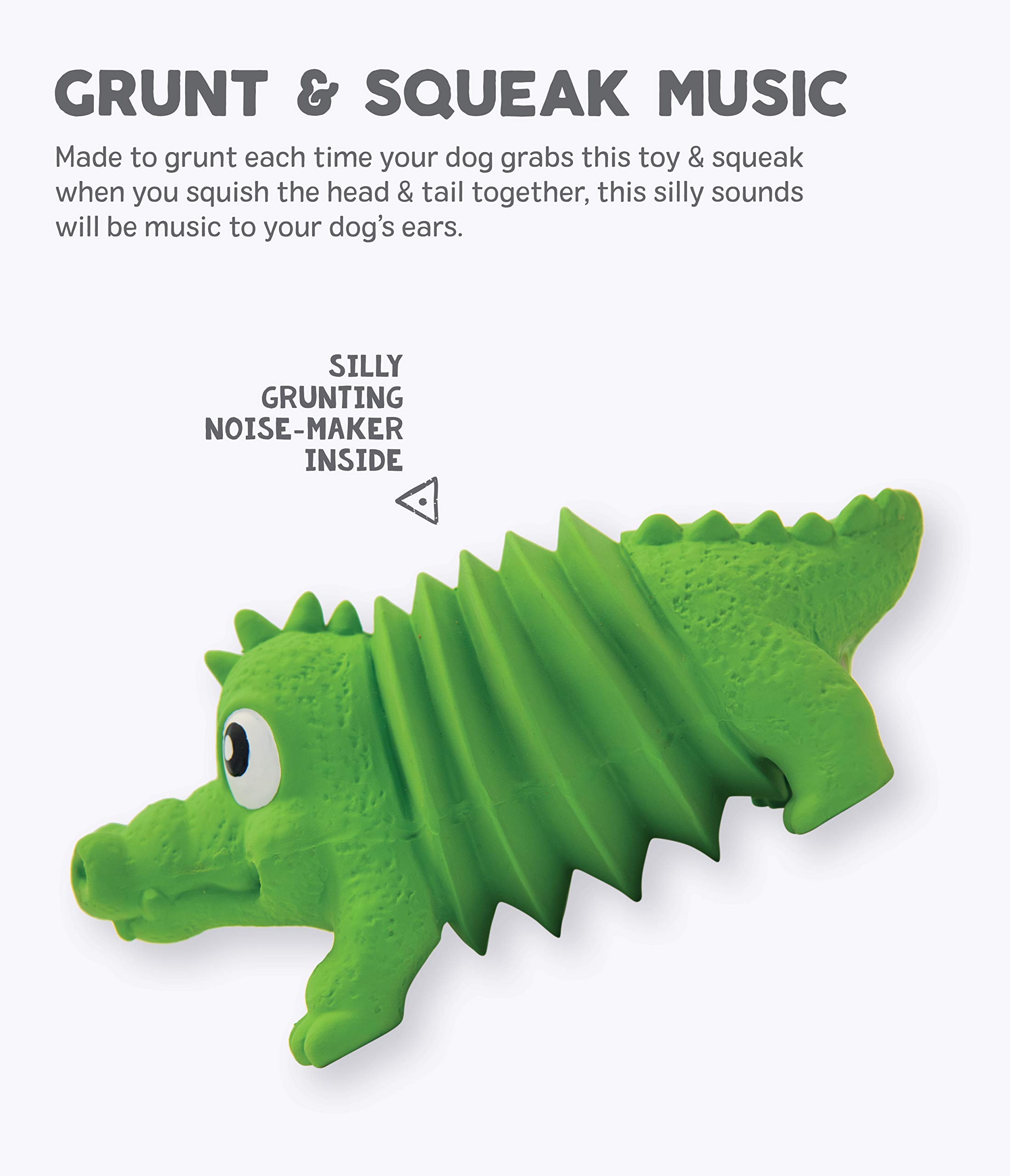 Outward Hound Accordionz Latex Rubber Squeaking Dog Toy - Squeaky & Grunting Alligator Chew Toy for Small & Medium Dogs | Interactive Play & Dental Health | Perfect for Fetch, Training & Teething Puppies