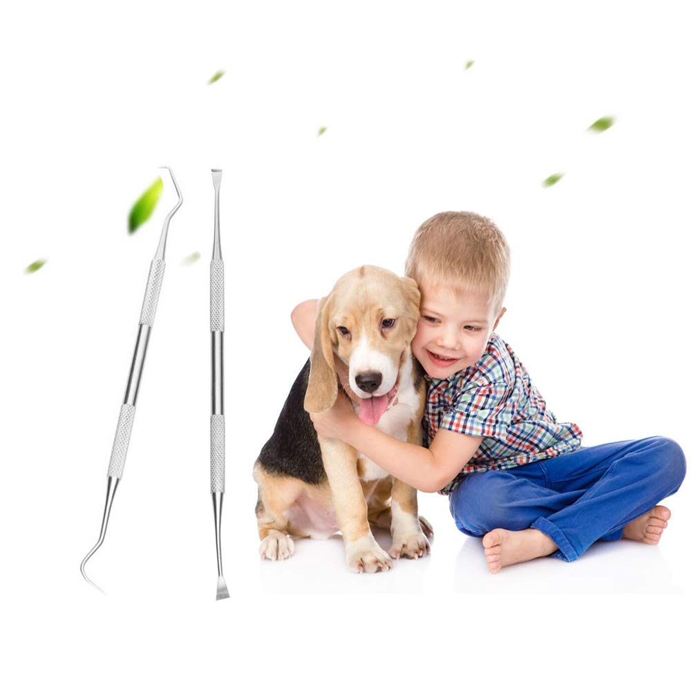 Dog Teeth Cleaning Tools - Stainless Steel Double Head Dental Scraper & Tartar Remover for Canine Oral Care - Perfect for Home Pet Dental Hygiene and Teeth Cleaning Routine