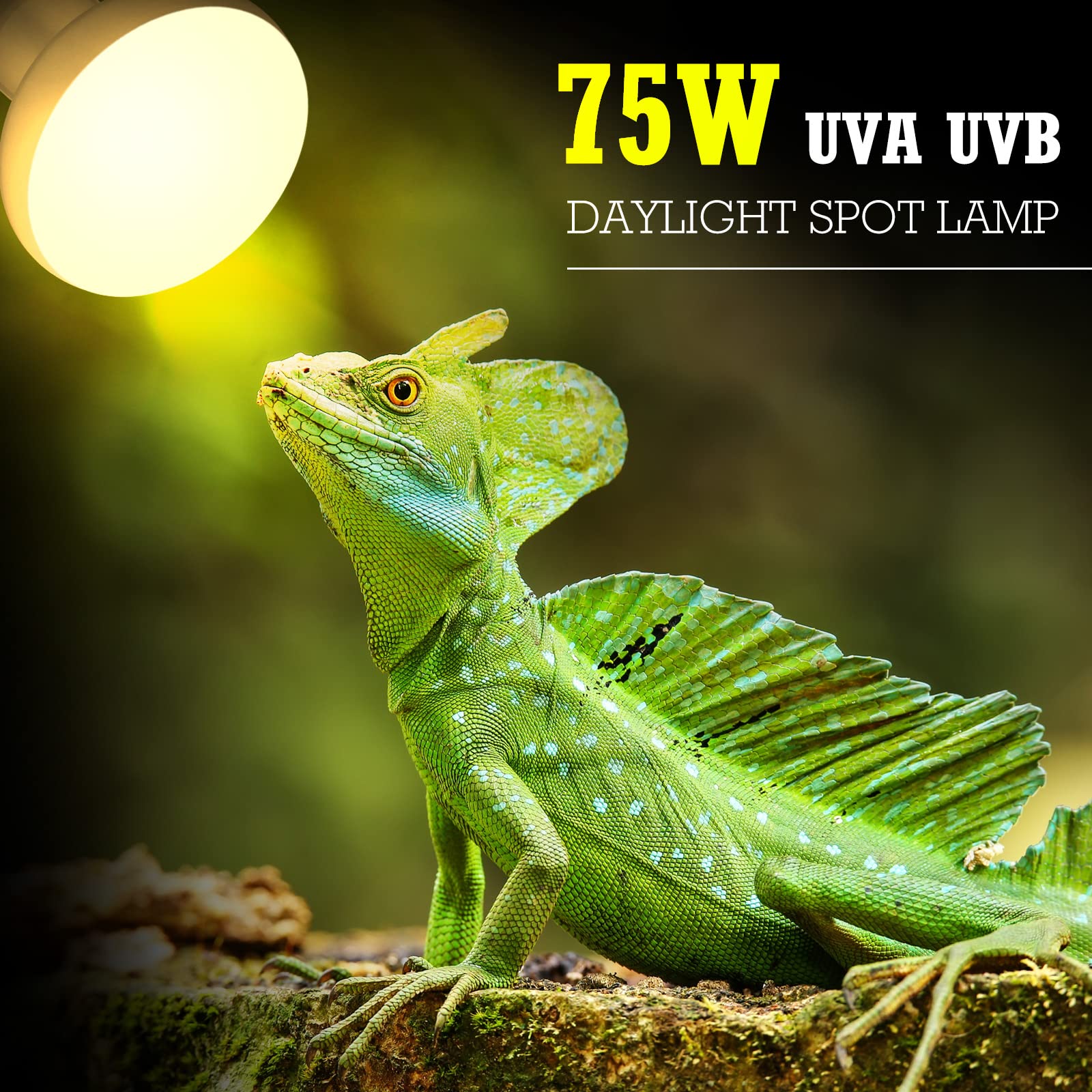 Tarpop 8-Pack 75W Reptile Heat Lamp Bulbs - UVA Basking Spotlights for Lizards, Turtles & Terrariums | Perfect for Reptile Tanks, Habitats & Enclosures
