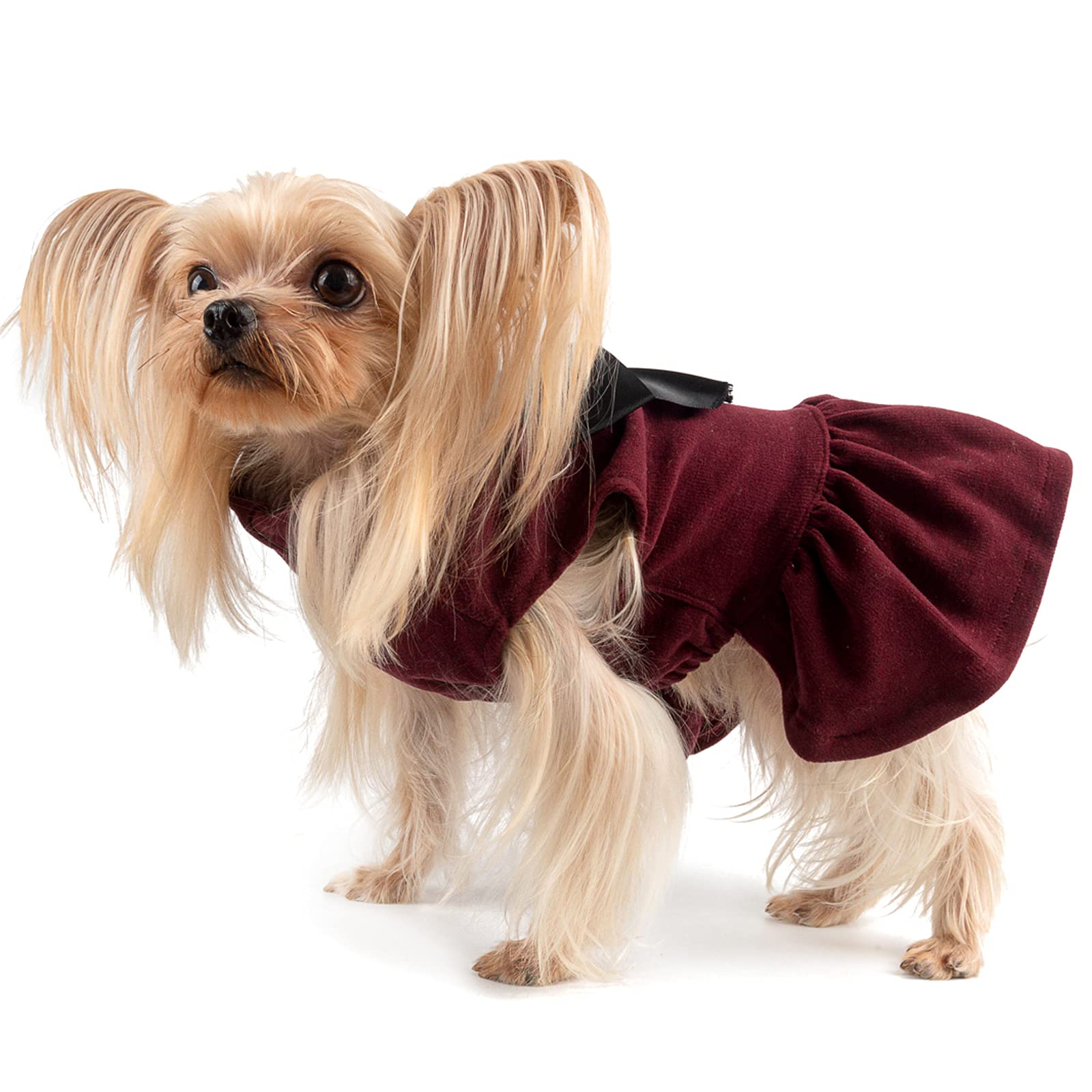 Adorable Dog Dress & Cat Outfit - CuteBone Pet Clothes for Small Dogs & Puppies | Perfect for Birthday Parties, Costume Events & Daily Fashion