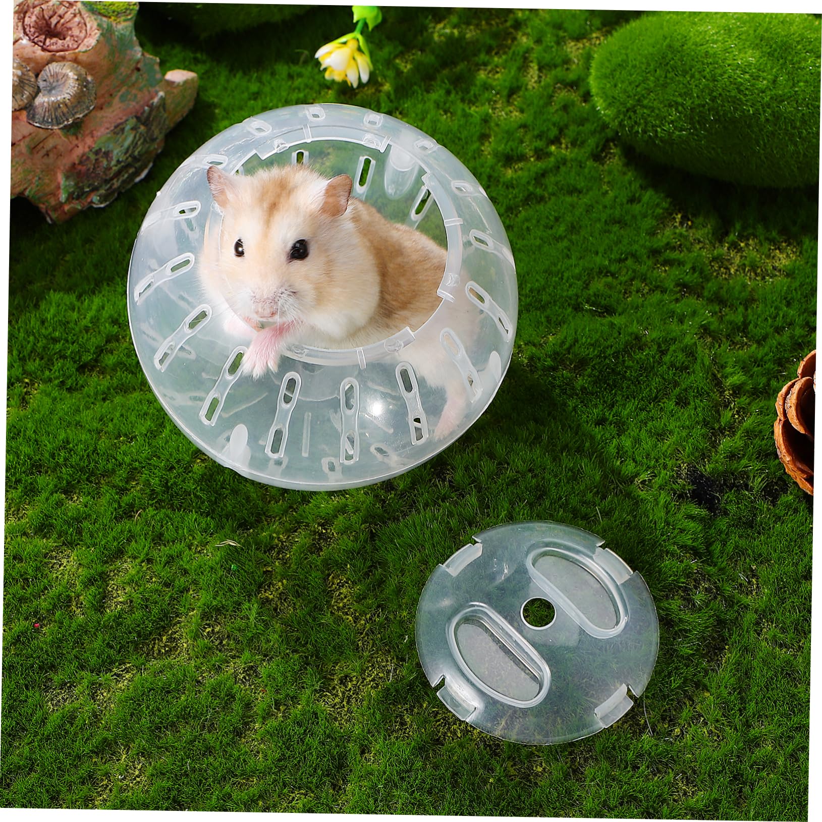 Small Animal Exercise Ball - 10cm Hamster Running Ball for Guinea Pigs, Mice & Tiny Pets | Durable Plastic Play Ball for Indoor Exercise & Fun Activities | Perfect for Playtime, Training & Pet Enrichment