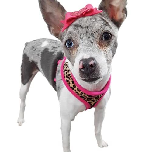 **Personalized Embroidered Leopard Dog Harness & Leash Set - Soft Plush Comfort, Fashionable Pink Harness for Small, Medium, Large Dogs (Large) - Perfect for Walks, Training & Stylish Outings**