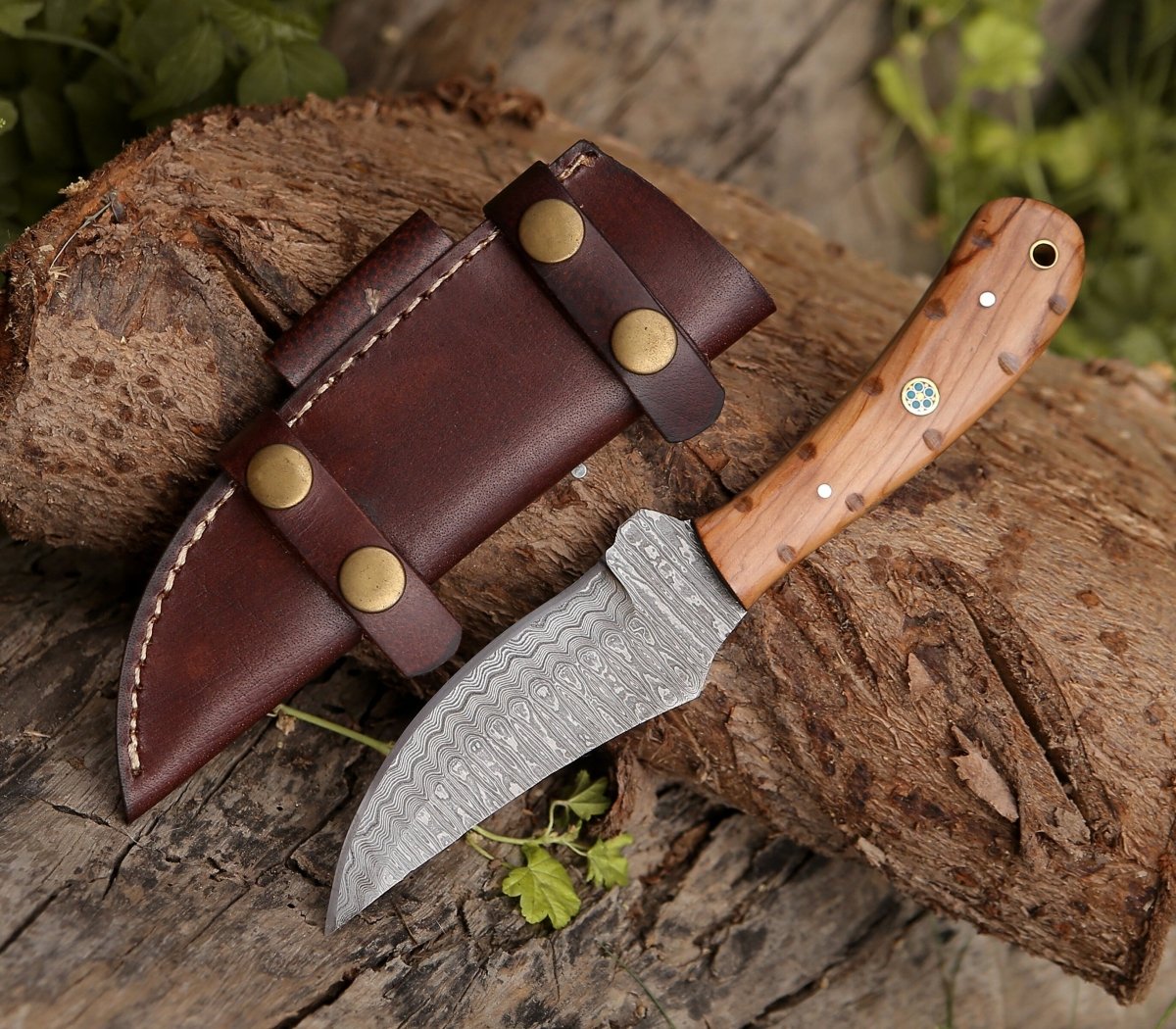 Premium Spectral Field Dressing Knife with Olive Wood Handle - Hunting, Camping & Outdoor Survival Tool for Game Processing and Bushcraft