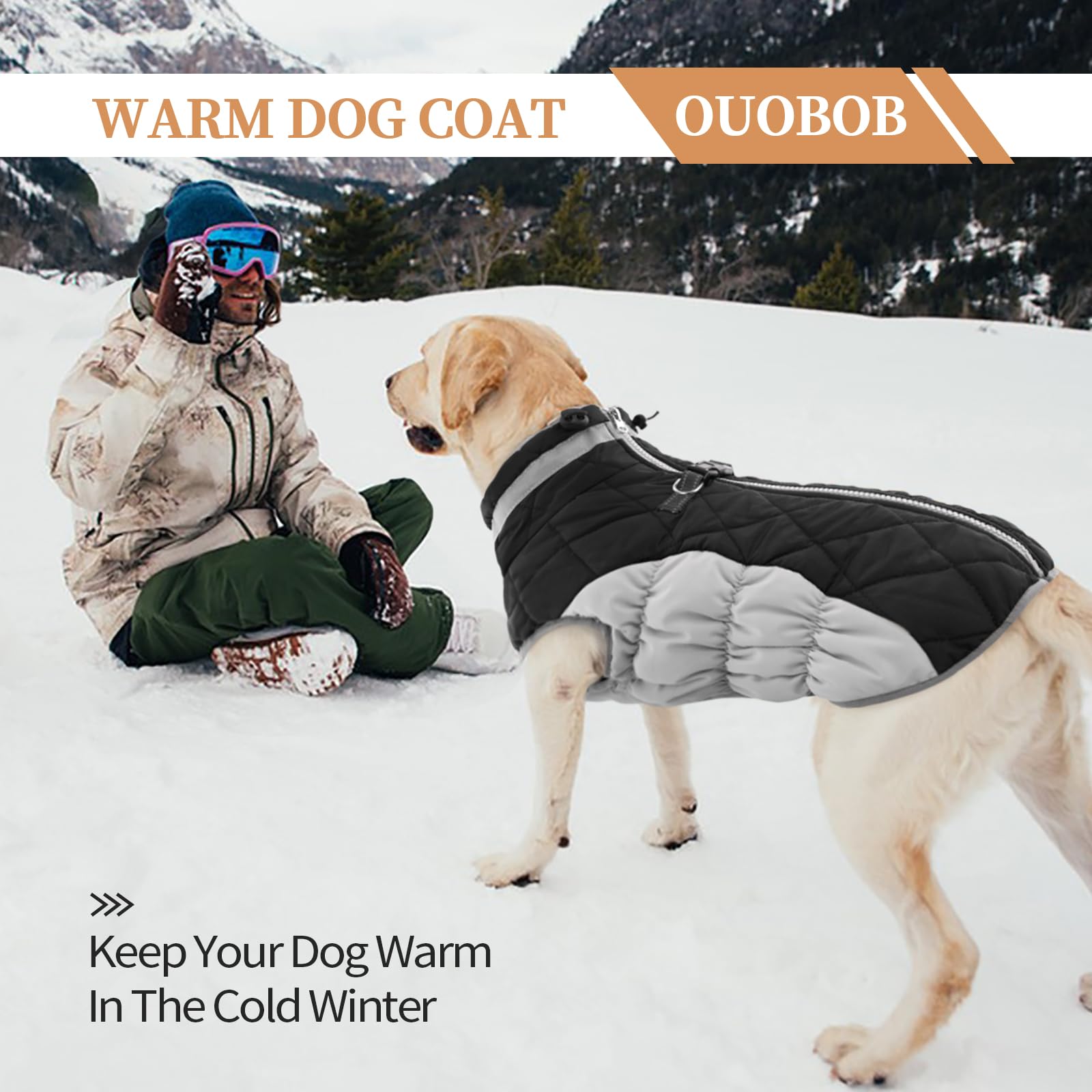 Waterproof Fleece-Lined Dog Winter Coat for Medium Dogs - Warm Zip-Up Jacket with D-Ring for Pug & Boston Terrier - Cold Weather & Snow Protection (Black, Size M) - Perfect for Winter Walks, Outdoor Adventures & Snow Play
