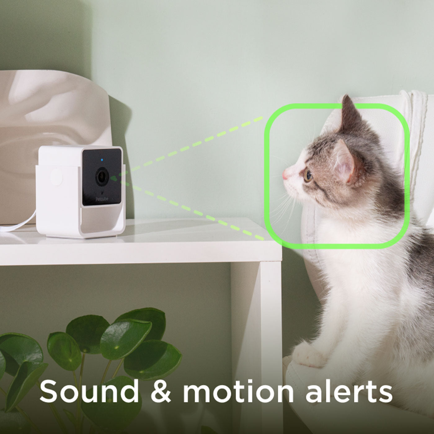 Petcube 2-Way Audio HD Pet Camera with Night Vision - Monitor & Talk to Your Dog or Cat at Home, Day or Night