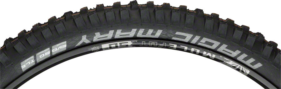 2 Pack Schwalbe Magic Mary Tubeless MTB Tires 29 x 2.6 Folding Black Evolution - Premium Mountain Bike Tires for Trail, Enduro & Downhill Riding