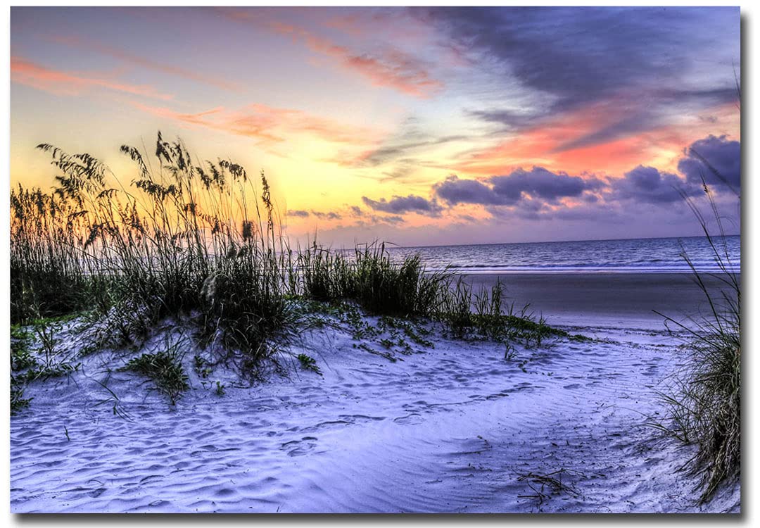 Hilton Head Beach South Carolina Souvenir Refrigerator Magnet - 2.5