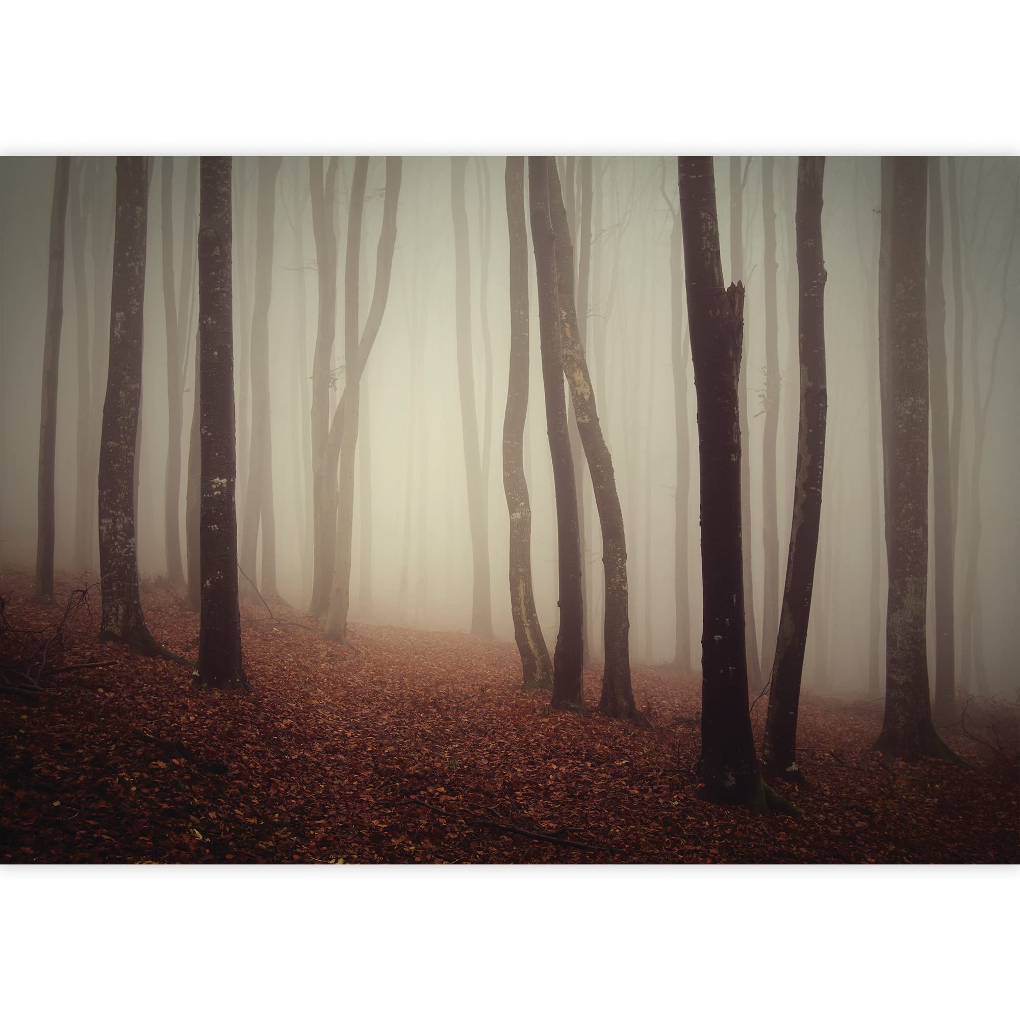 Dark and Mysterious Forest Wall Mural - Removable Peel and Stick Wallpaper - 66x96 Inches Large Wall Art Decor for Living Room, Bedroom & Office