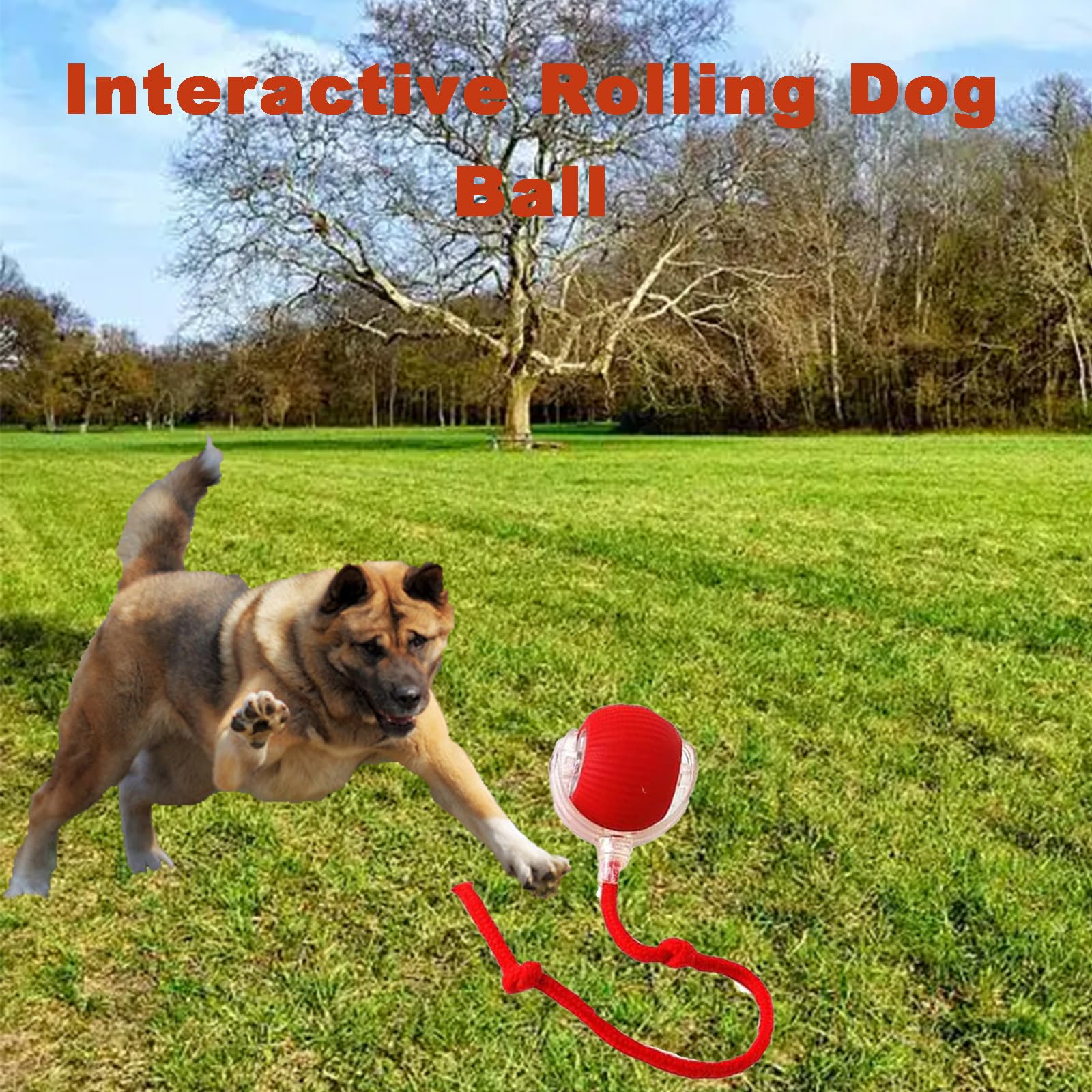 Interactive Cat Toys Rolling Ball - Motion Activated Dog Ball for Indoor Play - Chewie Viral Rolling Ball with 360° Smart Auto Movement - Electric Pet Toy for Cats & Dogs - Perfect for Exercise and Boredom Relief