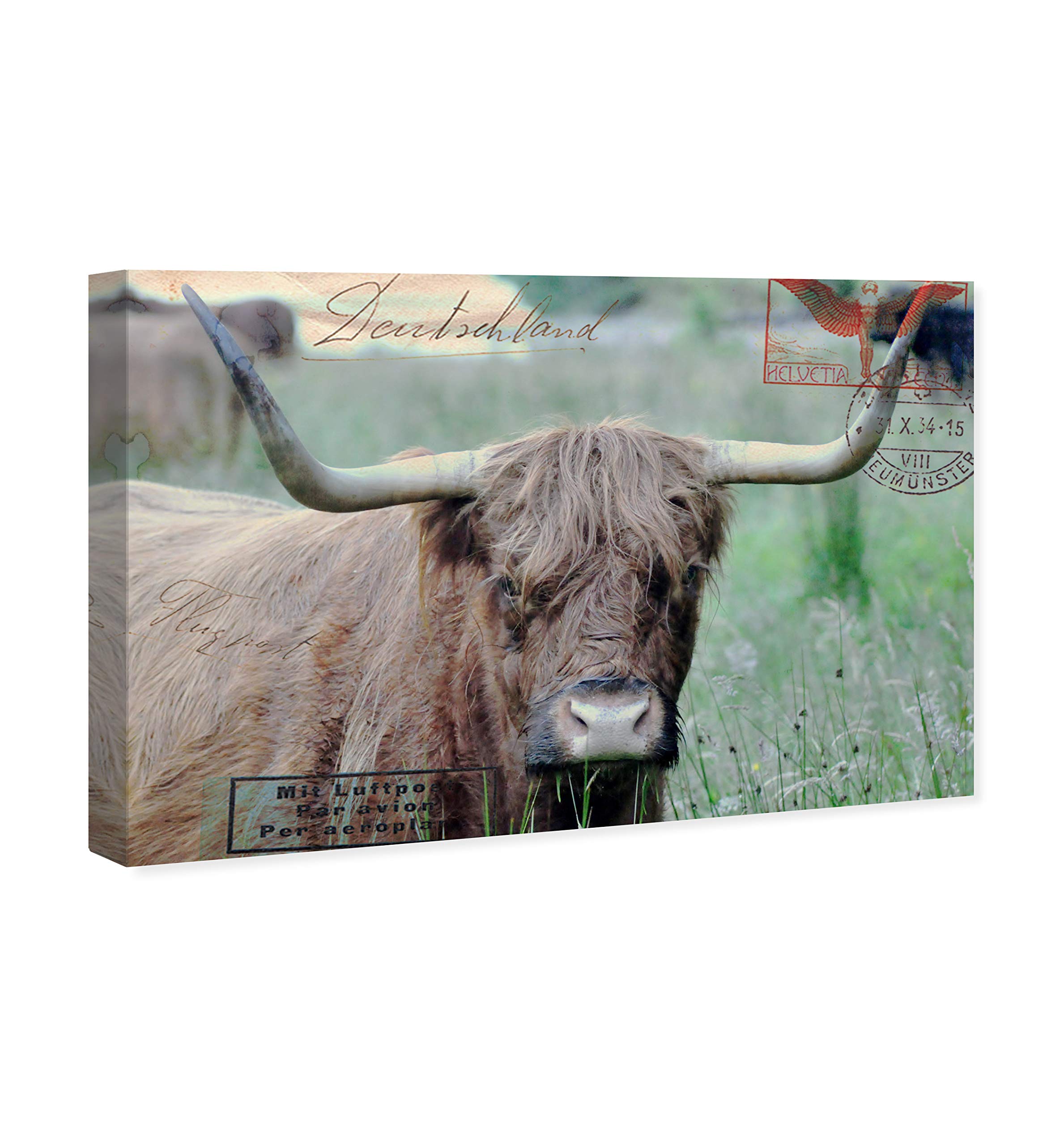 Oliver Gal Artist Co. Bull Wall Art Canvas Print - 36