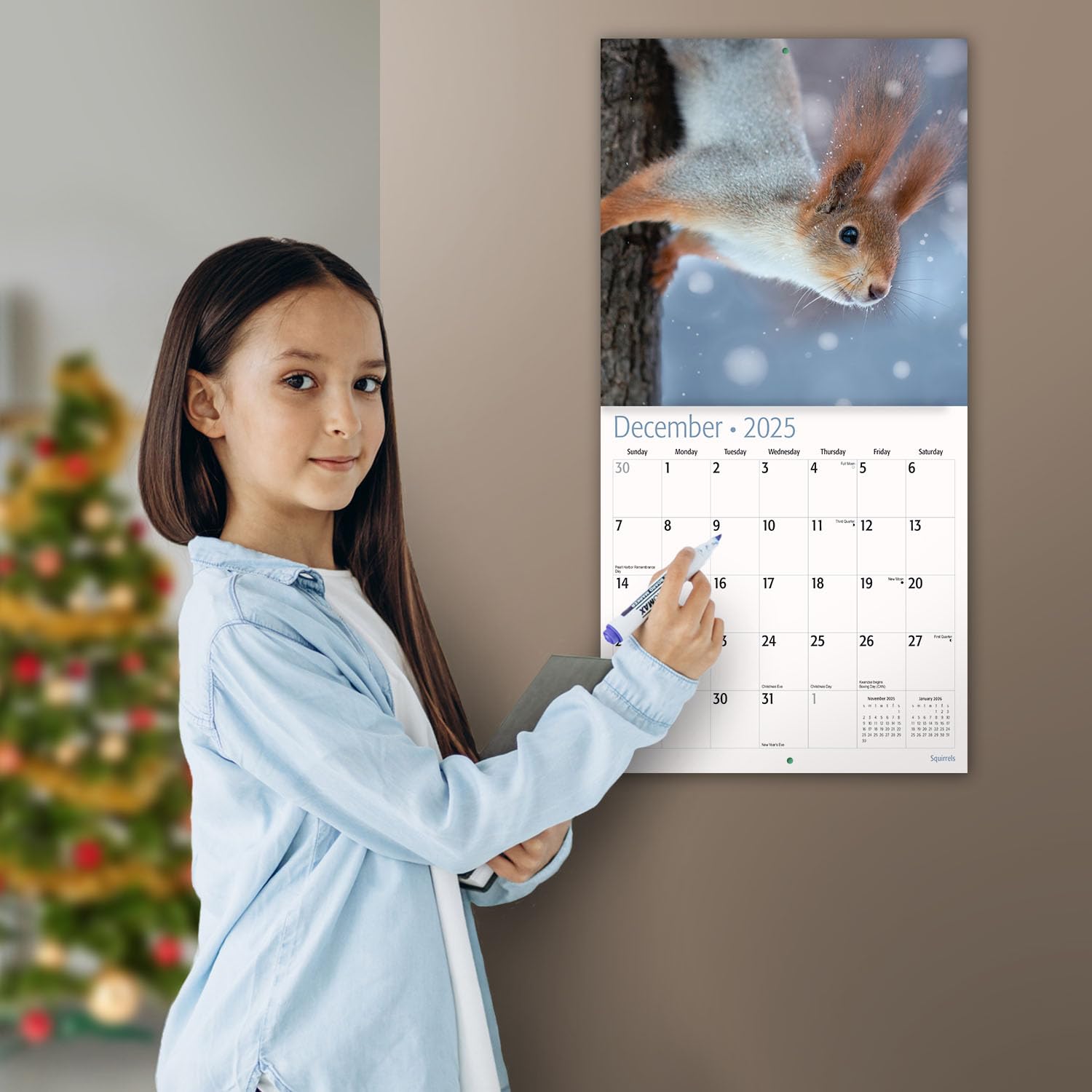 MICASA Squirrels 2025 Wall Calendar - 12 Month Large (12x24 Inches) with Thick Sturdy Paper | Perfect Home & Office Decor | Great Gift Idea for Nature Lovers | Use for Planning, School, or Work Schedules