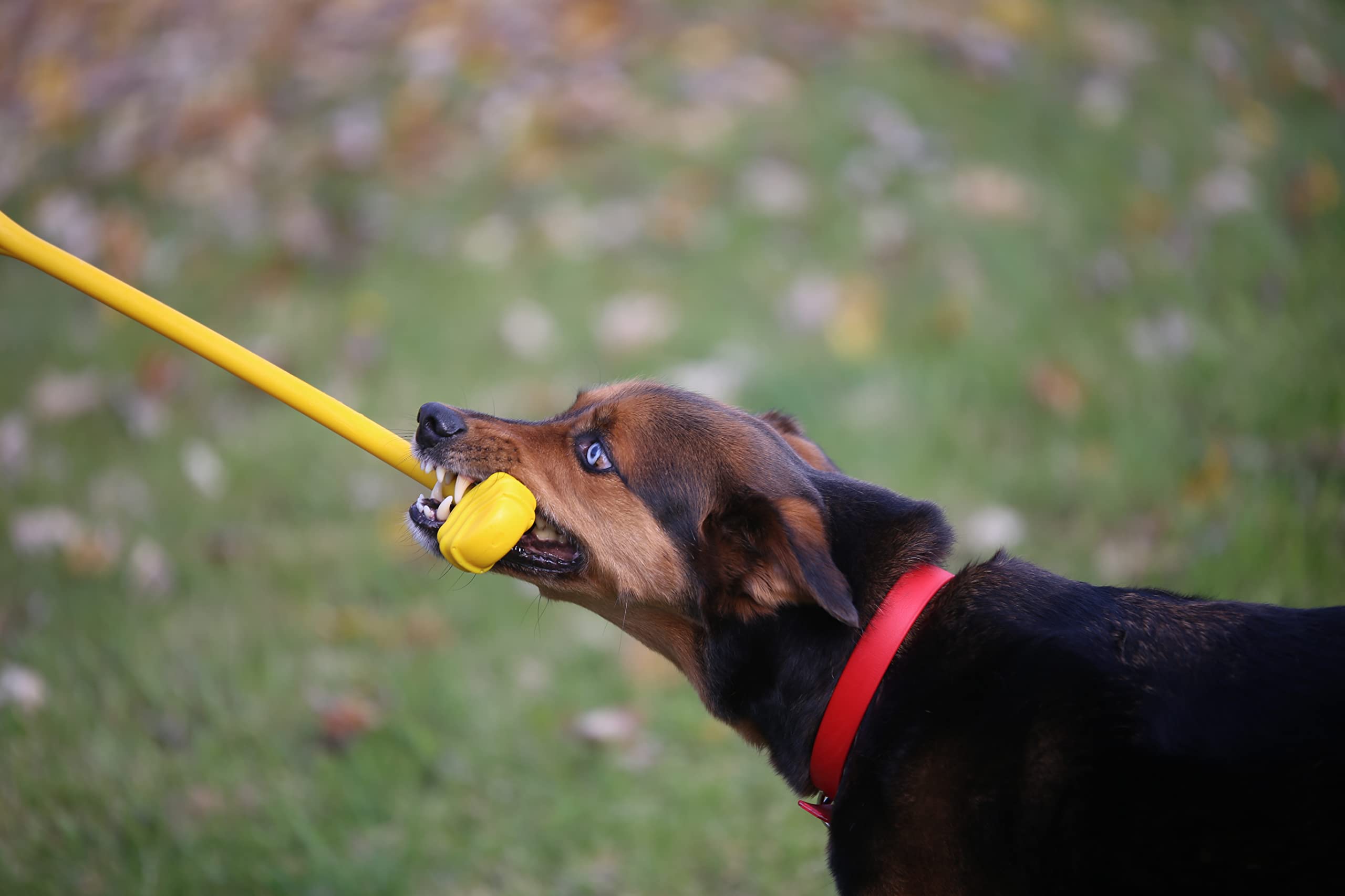 Jersey Dog Co Ultimate Durable Dog Tug Toy - 23