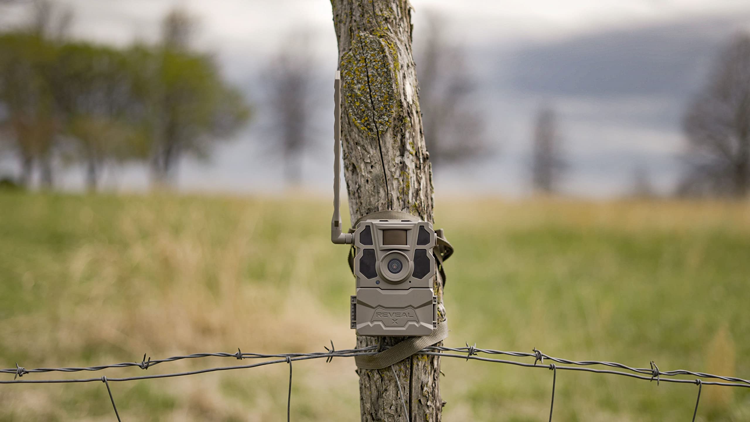 TACTACAM 2 Pack Reveal X Gen 2.0 LTE Cellular Trail Camera - AT&T & Verizon Compatible - HD Video/Photo with Low Glow IR Flash - Hunting Gear, Wildlife Monitoring, Home Security Surveillance Camera for Outdoor Use