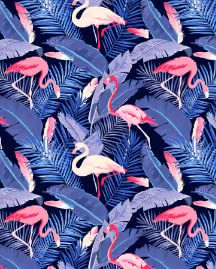 Flamingo 2