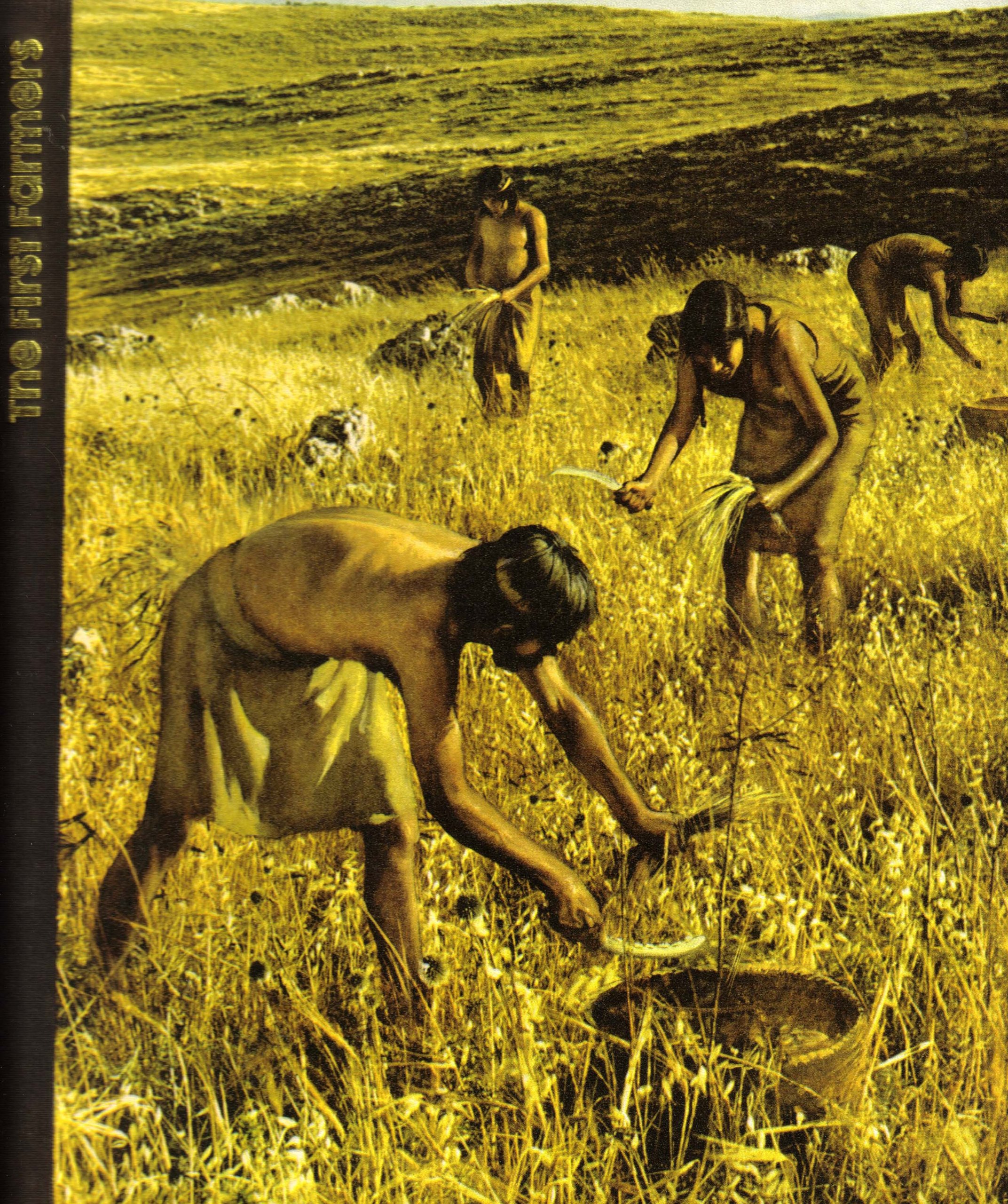 The First Farmers: The Emergence of Man - Prehistoric Agriculture Book for Anthropology & History Studies | Perfect for Students, Researchers & History Enthusiasts