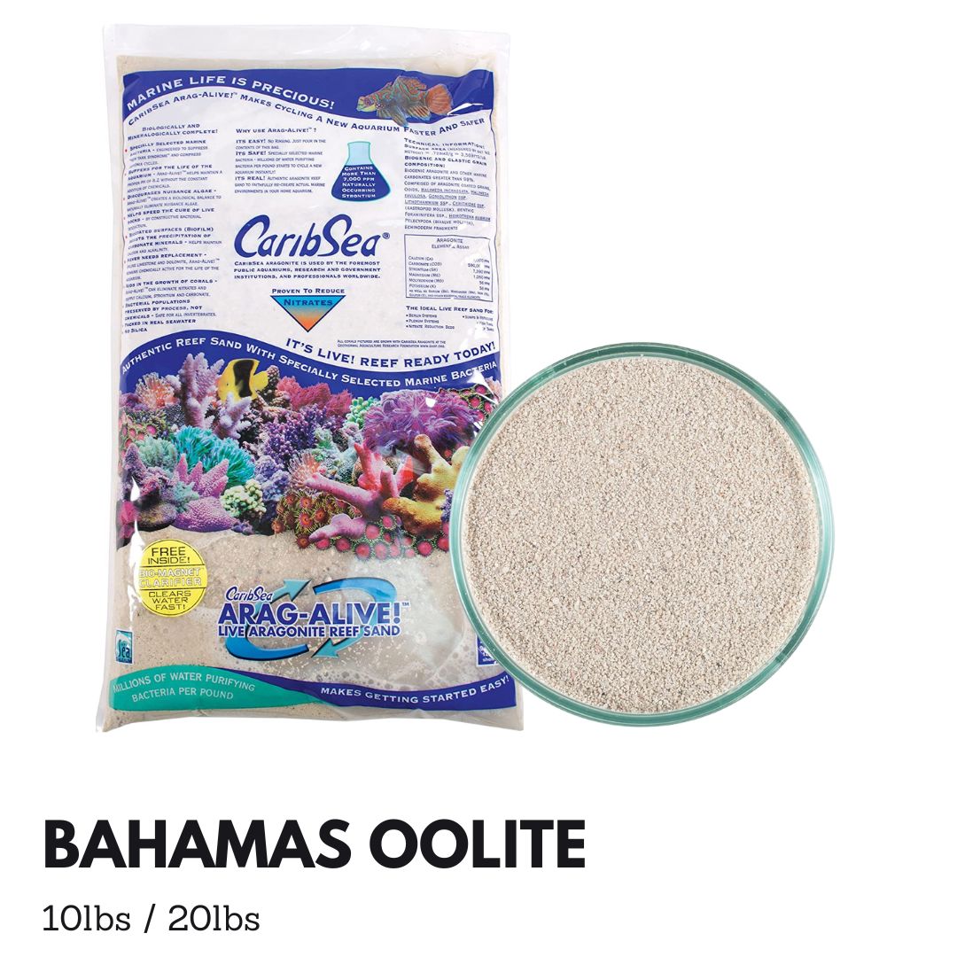Caribsea Aragalive Bahamas Oolite Live Sand - 10/20lbs for Saltwater Aquariums, Reef Tanks & Marine Fish Habitats - Natural Substrate for Healthy Coral Growth & Water Filtration