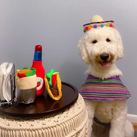TONBO Cute Food Plush Dog Toys - Soft & Durable Taco Tuesday Combo for Small & Medium Dogs - Perfect for Chewing, Cuddling & Playtime at Home or Outdoors