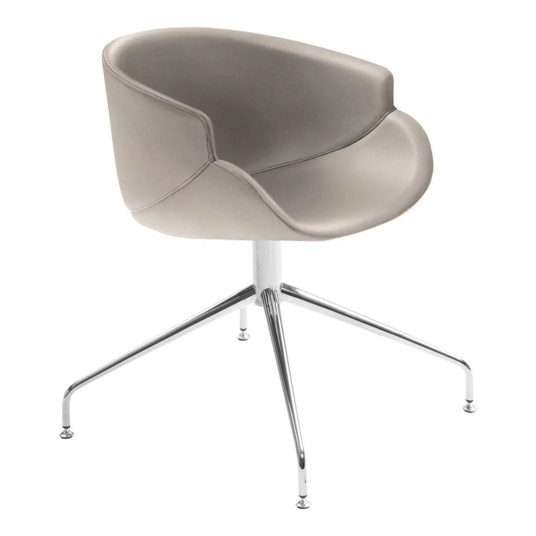B Line Bix Dining Chair with Spoke Base - Modern Kitchen & Dining Room Furniture for Home & Restaurant Use