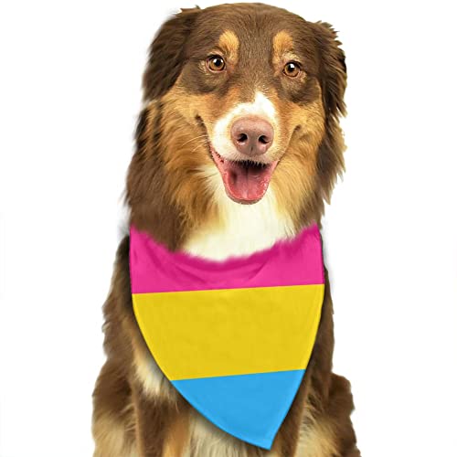 Pansexuality Pride Flag