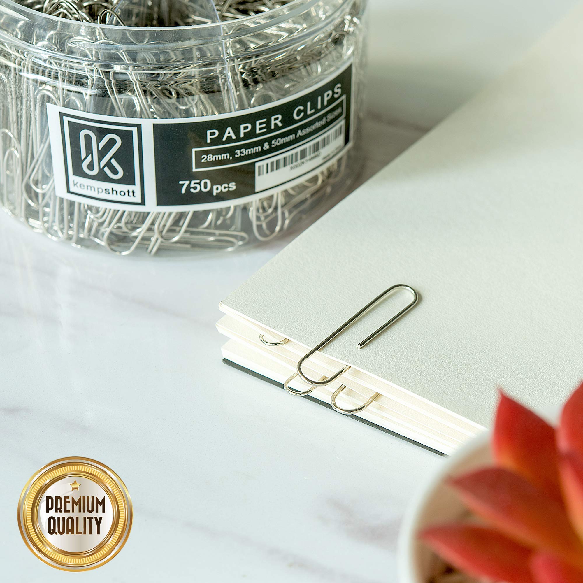 750 Assorted Size Paper Clips - Small, Medium & Large Silver Paper Clips for Office, School & Home Use | Perfect for Organizing Documents, Files & Paperwork
