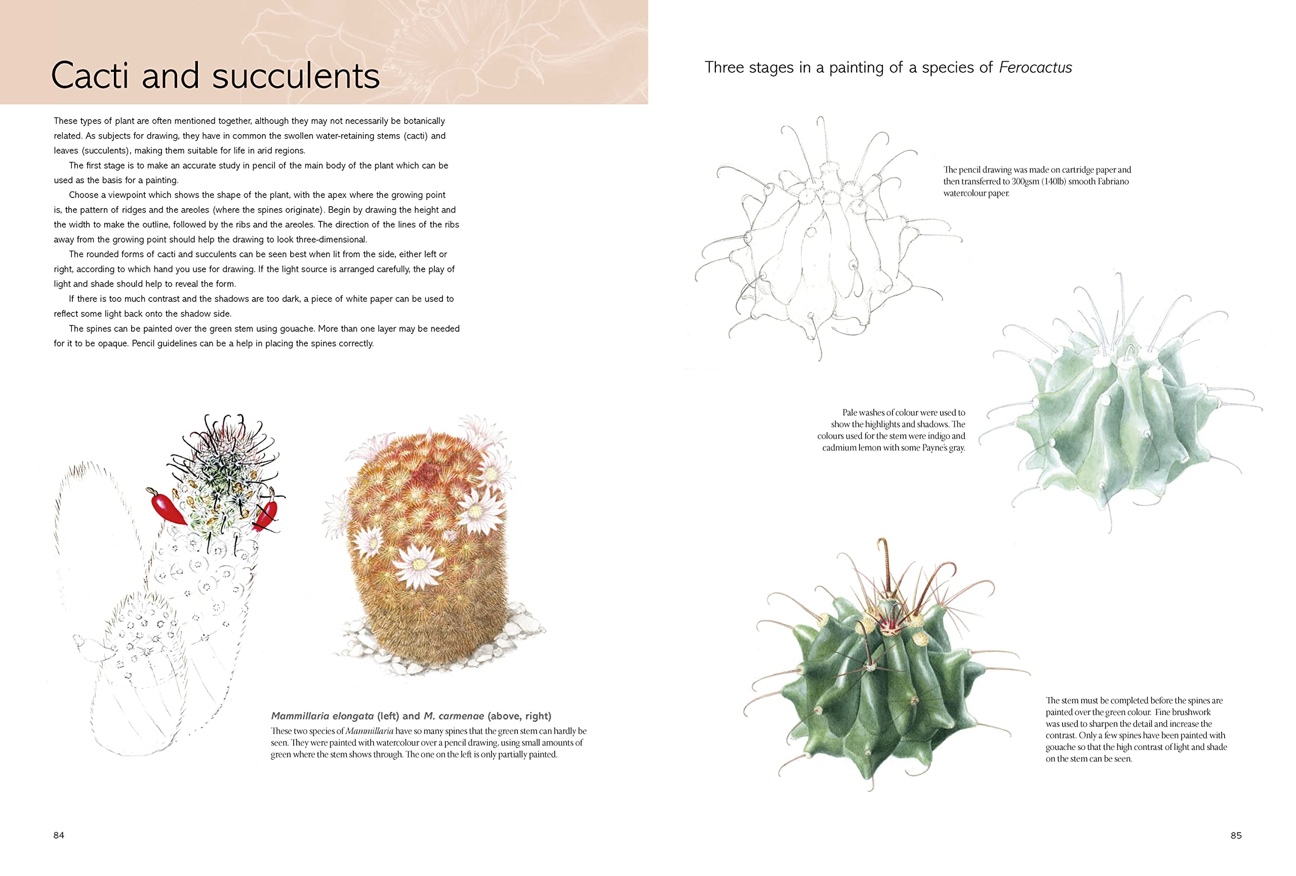 The Kew Book of Botanical Illustration: A Guide to Drawing and Painting Plants - Perfect for Artists, Gardeners, and Nature Enthusiasts