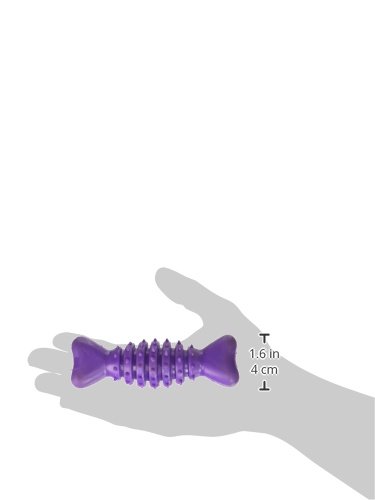 80506 Small Dental Chew Toy for Dogs - 4.75