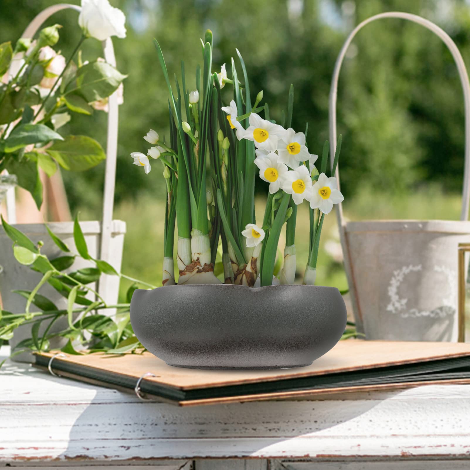 Happyyami Ceramic Hydroponic Water Planter Pot for Succulents, Bonsai, Water Lily & Narcissus - Decorative Flowerpot Container for Indoor Garden, Dining Table Decor (Style A) - Perfect for Home, Office & Wedding Centerpieces