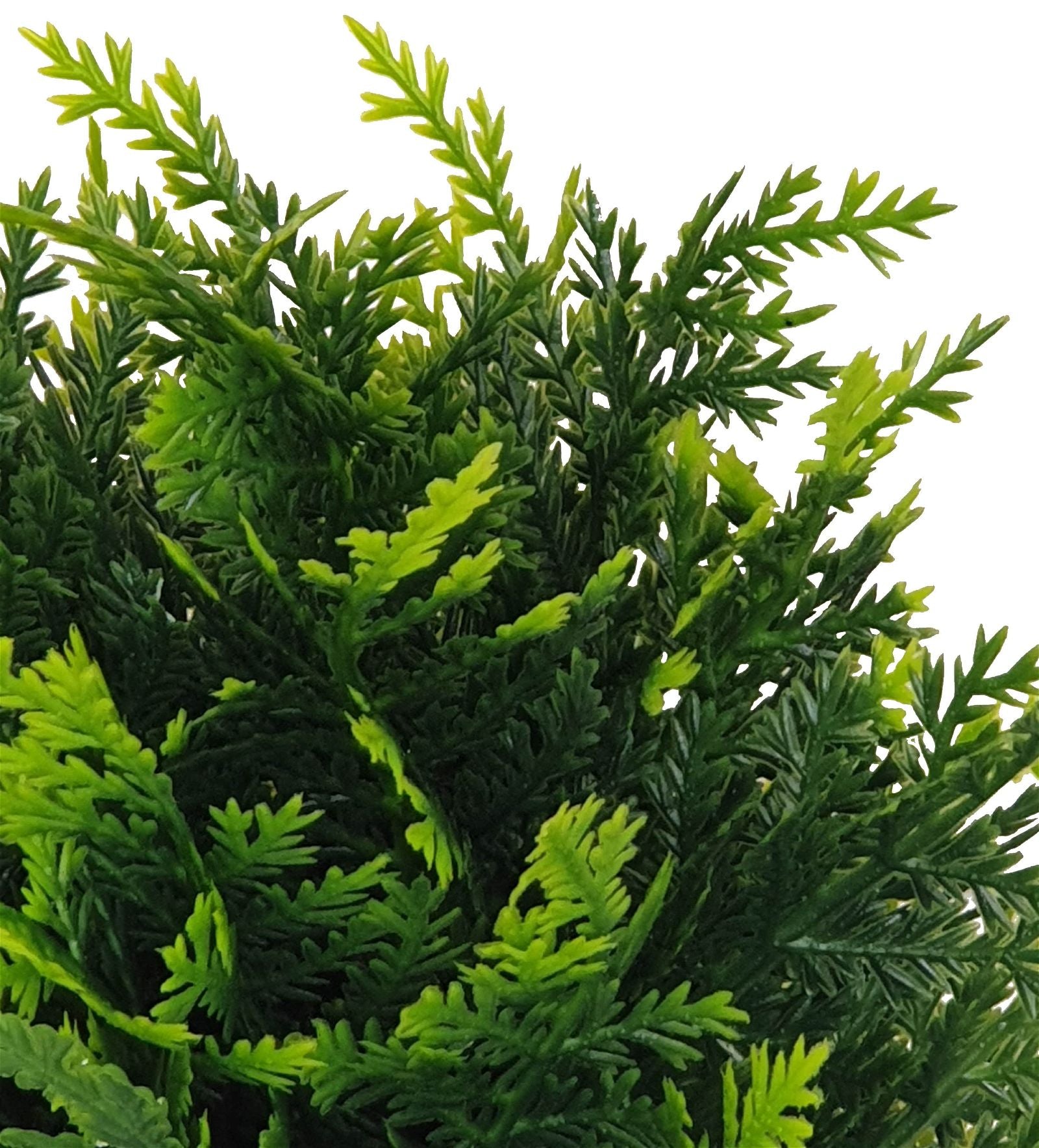25cm Realistic Green Artificial Shrub Plant by Criterion - Perfect for Home Decor, Office Desk & Indoor Greenery