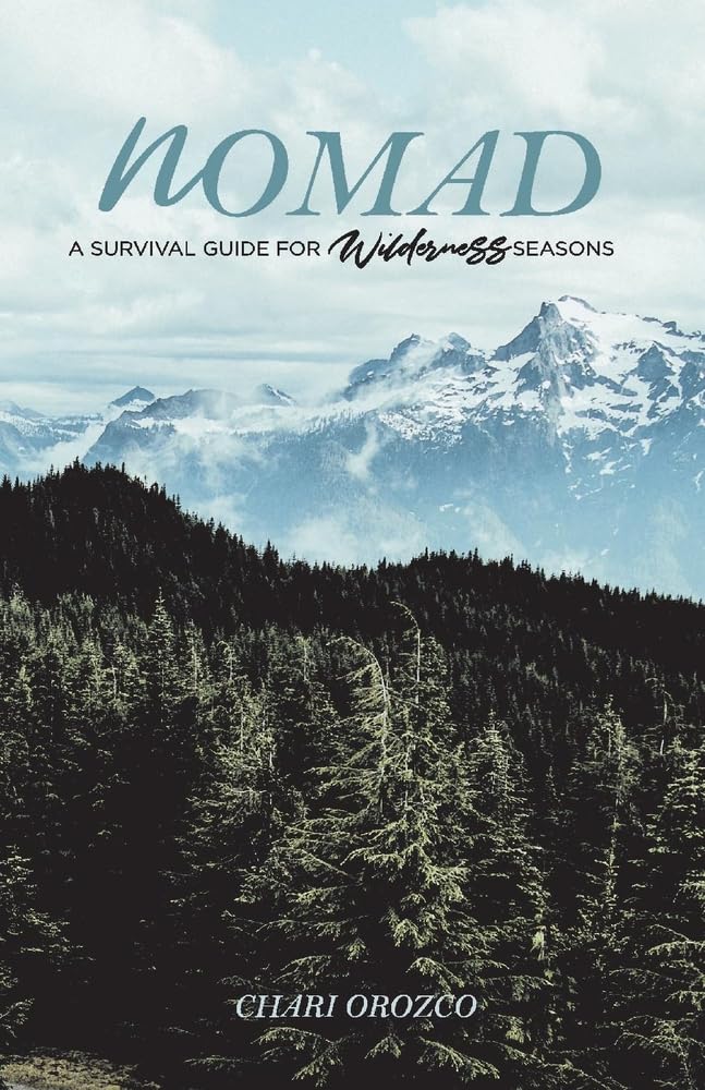 Nomad: Ultimate Wilderness Survival Guide for All Seasons - Essential Tips for Hiking, Camping & Outdoor Adventures