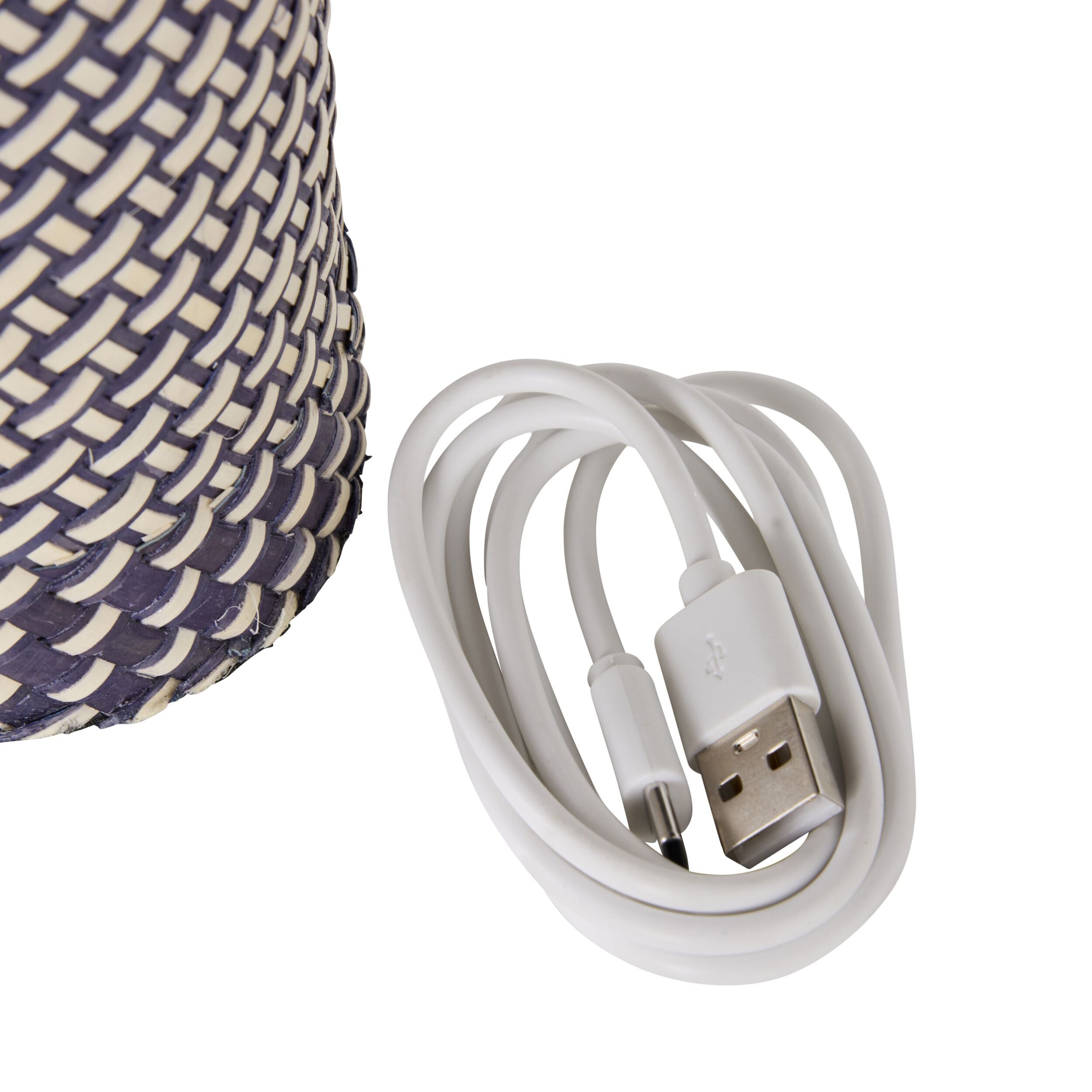 Alexa Palm Leaf Portable LED Lamp - 29cm Height, Battery Operated, Perfect for Outdoor Patio, Camping, and Home Decor