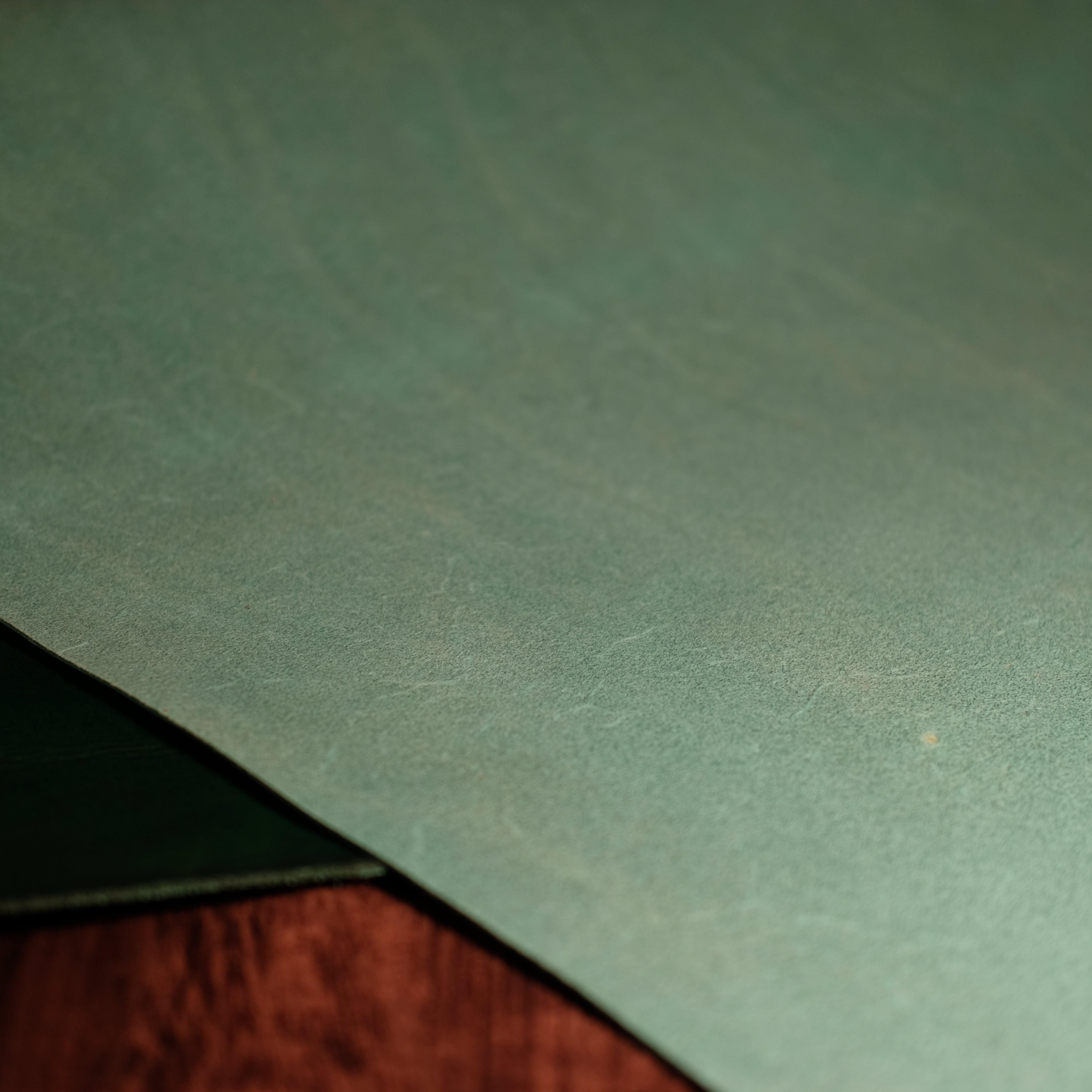 Premium Conceria Walpier Buttero Green 3-4oz Full-Grain Leather - Perfect for Handcrafted Wallets, Belts & Luxury Leather Goods