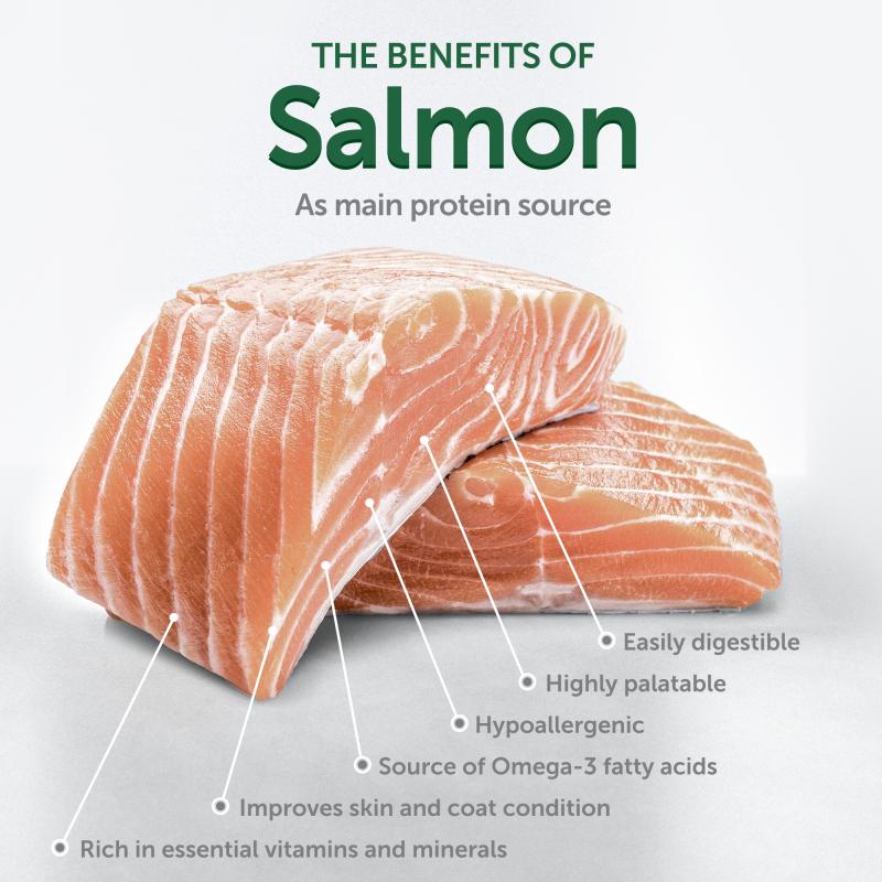Premium Puppy Food for Light Coat Dogs (Up to 4 Months) - Salmon Recipe for All Breeds - Ideal for Growing Puppies & Coat Maintenance