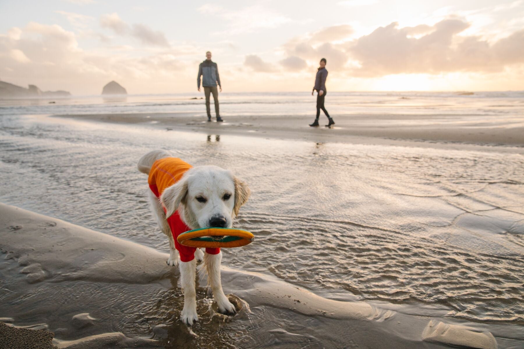 Ruffwear Hydro Plane™ Floating Dog Disc Toy - Tangelo Orange, Waterproof & Durable for Pool, Beach & Outdoor Play - Perfect for Fetch Games with Dogs