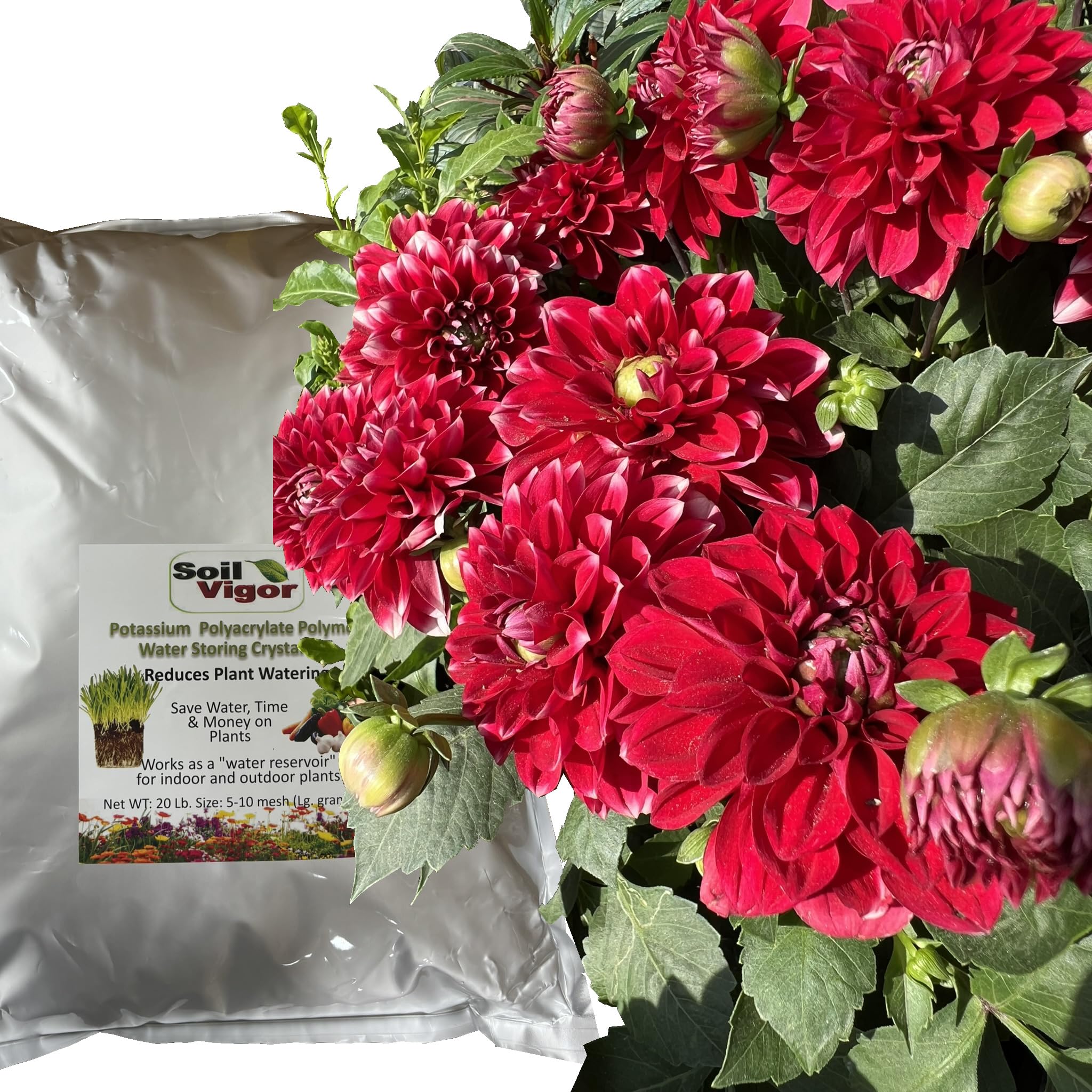 Premium Potassium Polyacrylate Water Absorbing Crystals for Garden Soil - Lasts Up to 7 Years (20 Pack) - Ideal for Drought-Resistant Plants, Flower Beds & Vegetable Gardens