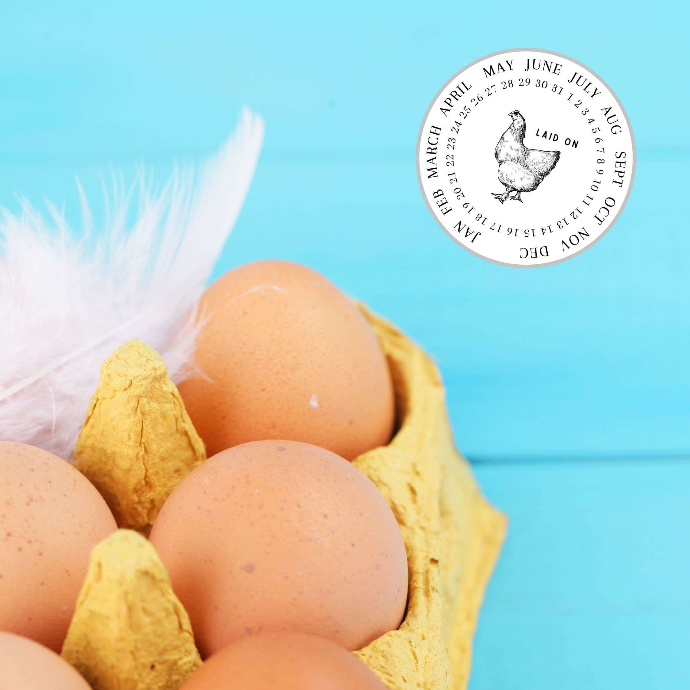 Farm Fresh Egg Date Stickers - 50 Pack 2