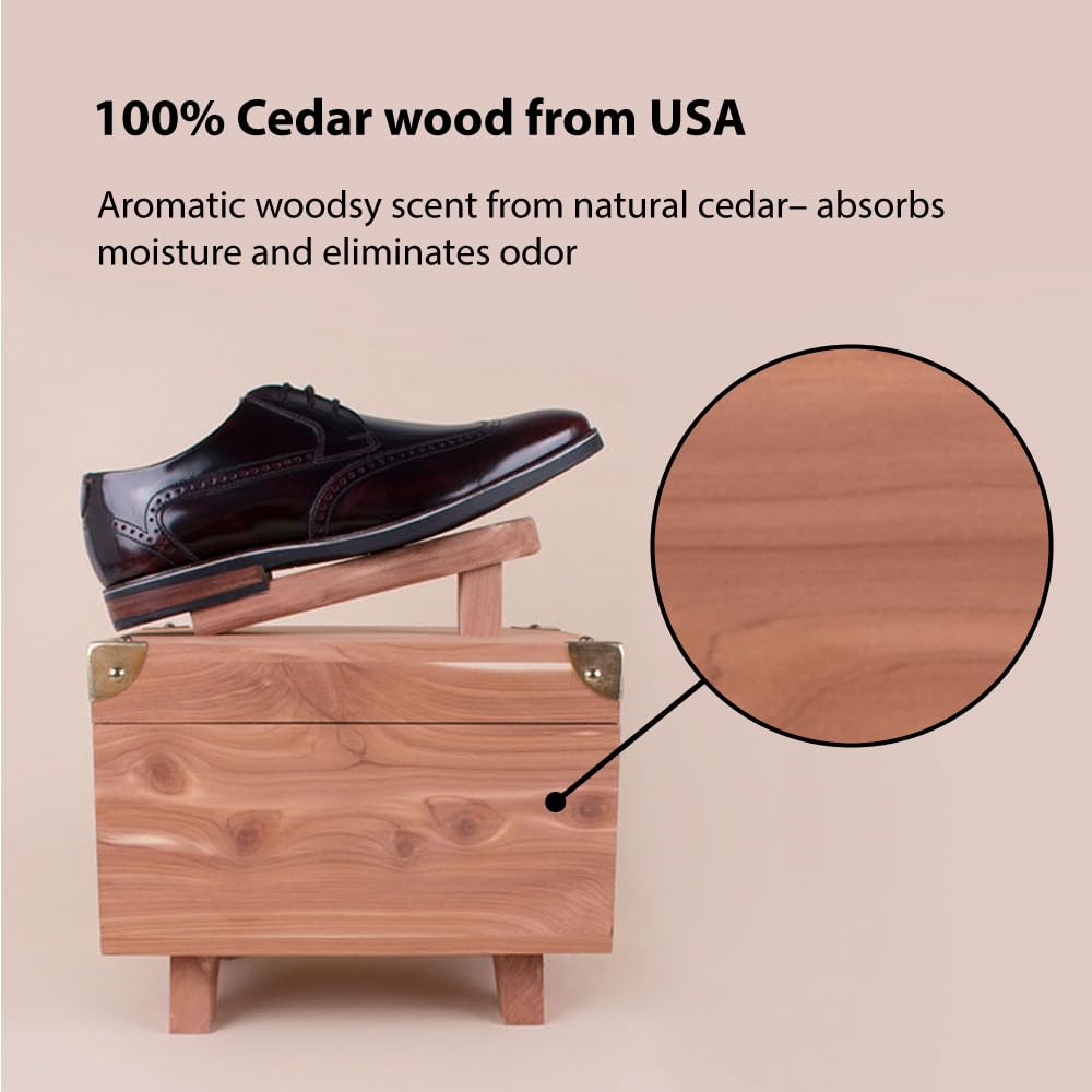 FootFitter Premium Leather Shoe Care Kit - Shine Set with Cedar Wood Storage Box, Polish Cream & Maintenance Tools | Perfect for Men's Dress Shoes, Boots & Leather Accessories Care