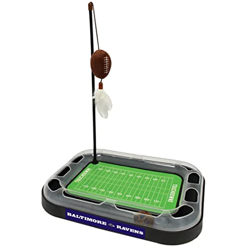 Baltimore Ravens