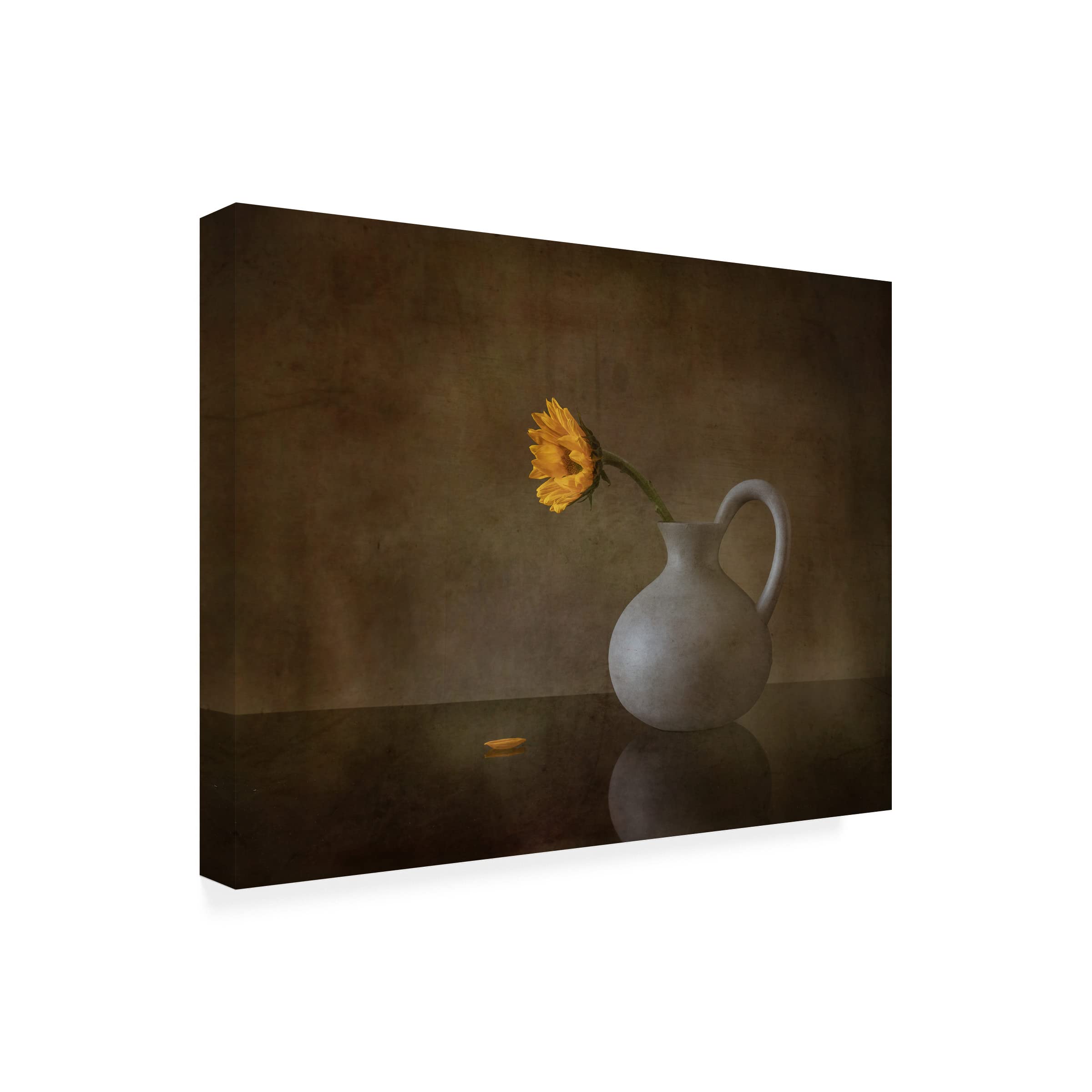 Trademark Fine Art 'Life' Canvas Wall Art by May G - Modern Home Decor for Living Room, Bedroom & Office