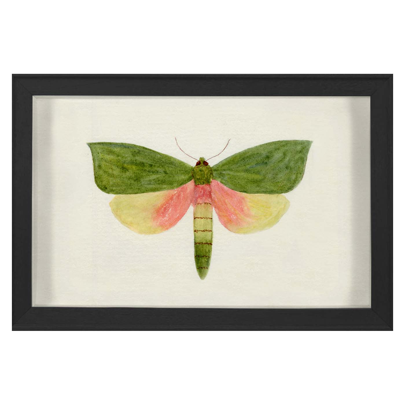 Small Hubbard Butterfly - 146 Pack | Bulk Decorative Butterflies for DIY Crafts, Scrapbooking, and Home Decor | Perfect for Parties, Weddings, and Classroom Projects