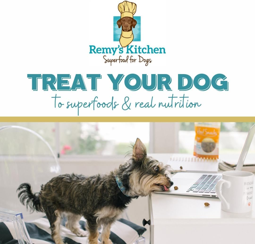 Premium Freeze-Dried Lamb Dog Treats - All Natural, Grain-Free, Human-Grade Snacks - USA Sourced, Small Batch Made - No Artificial Preservatives - 3 oz - Perfect for Training, Rewards & Sensitive Stomachs