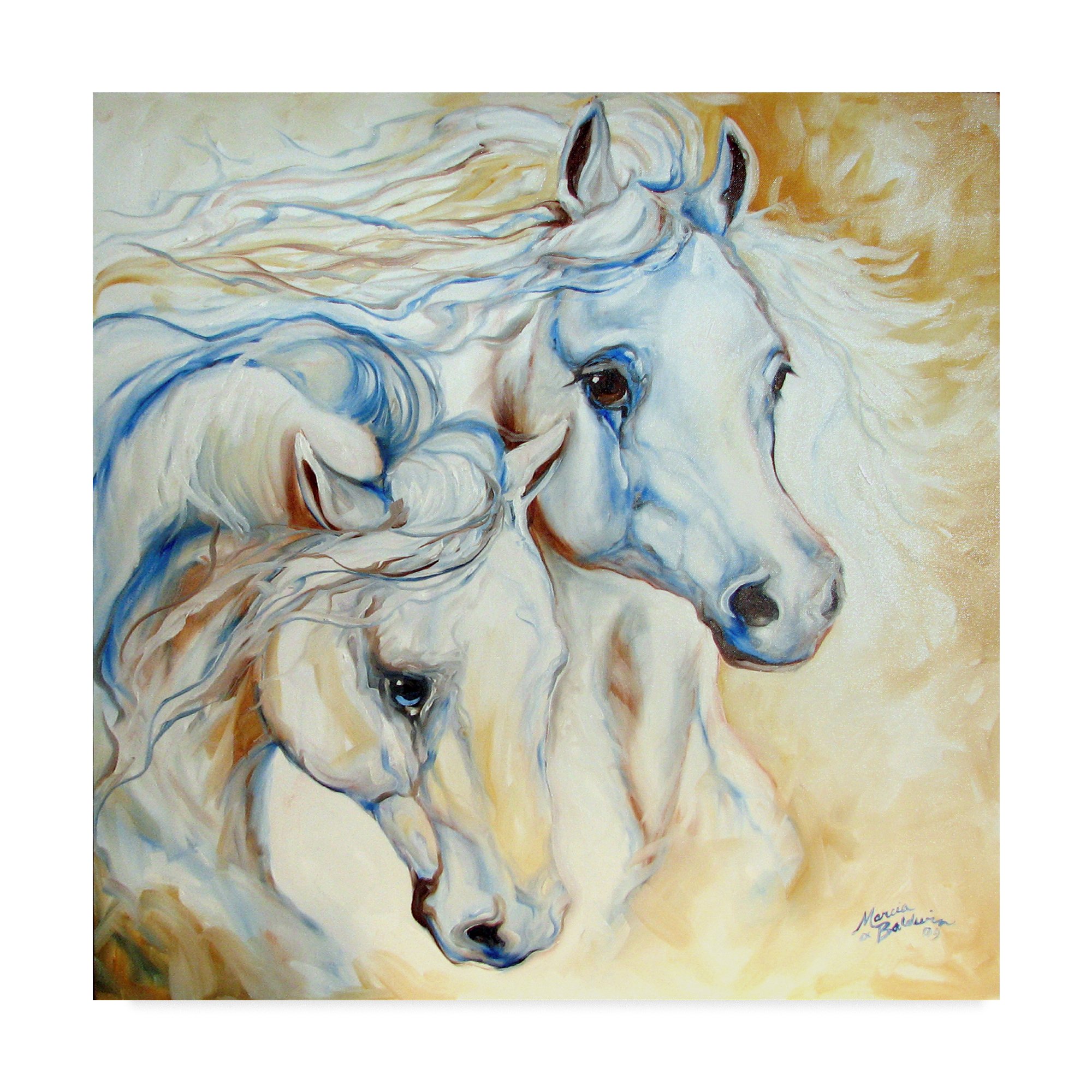 Trademark Fine Art Marcia Baldwin Multicolor Canvas Print - Perfect for Home Decor, Office & Living Room Wall Art