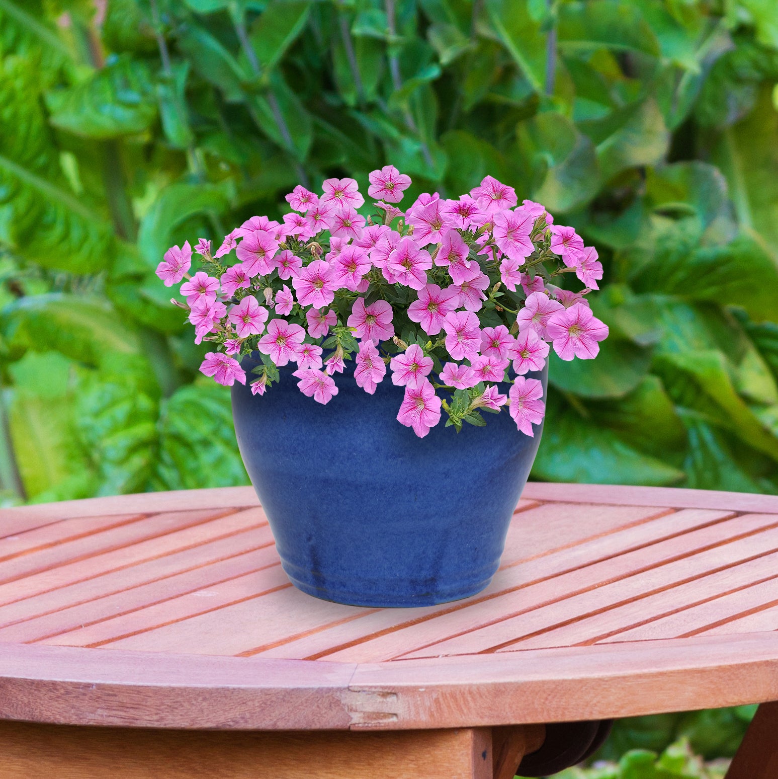 Sunnydaze Studio Round Glazed Ceramic Planter with Drainage Hole - Indoor Outdoor Flower Pot for Plants, Succulents, Herbs - Perfect for Patio, Garden, Balcony Decor