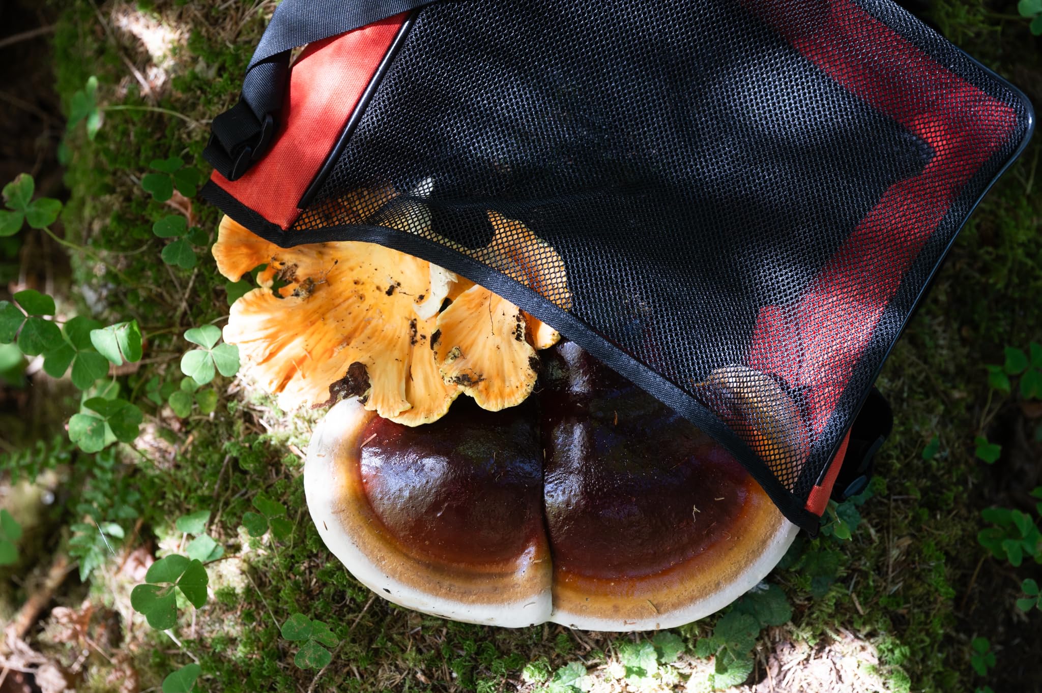 Premium Waxed Canvas & Mesh Mushroom Foraging Bag with Pockets - Durable Fruit & Vegetable Harvesting Kit - Farmers Market Tote with Wooden Knife (Red Orange) - Ideal for Wild Mushroom Hunting, Berry Picking & Organic Farm Visits