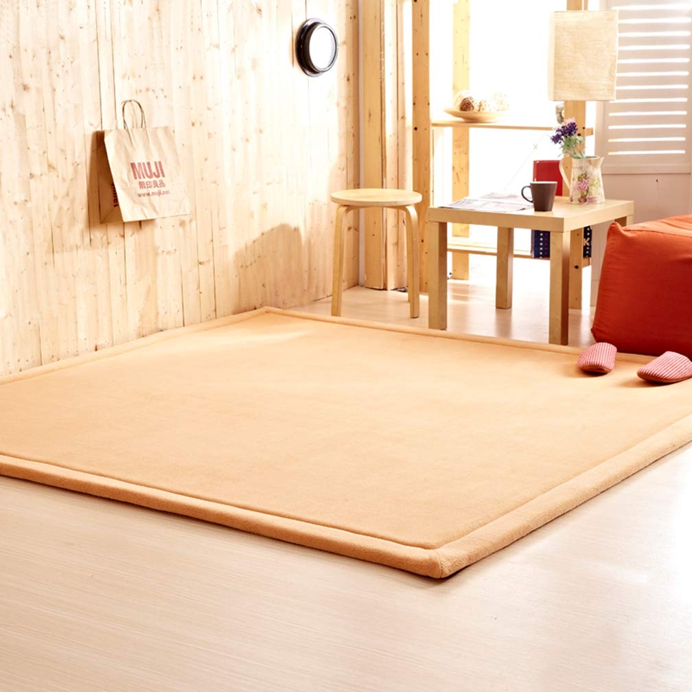 Premium Soft Coral Fleece Area Rug - 4'x6' Non-Slip Rectangular Carpet for Living Room, Bedroom & Nursery | Modern Indoor/Outdoor Home Decor | Cozy Floor Mat for Kids Play Area, Dorm & Apartment